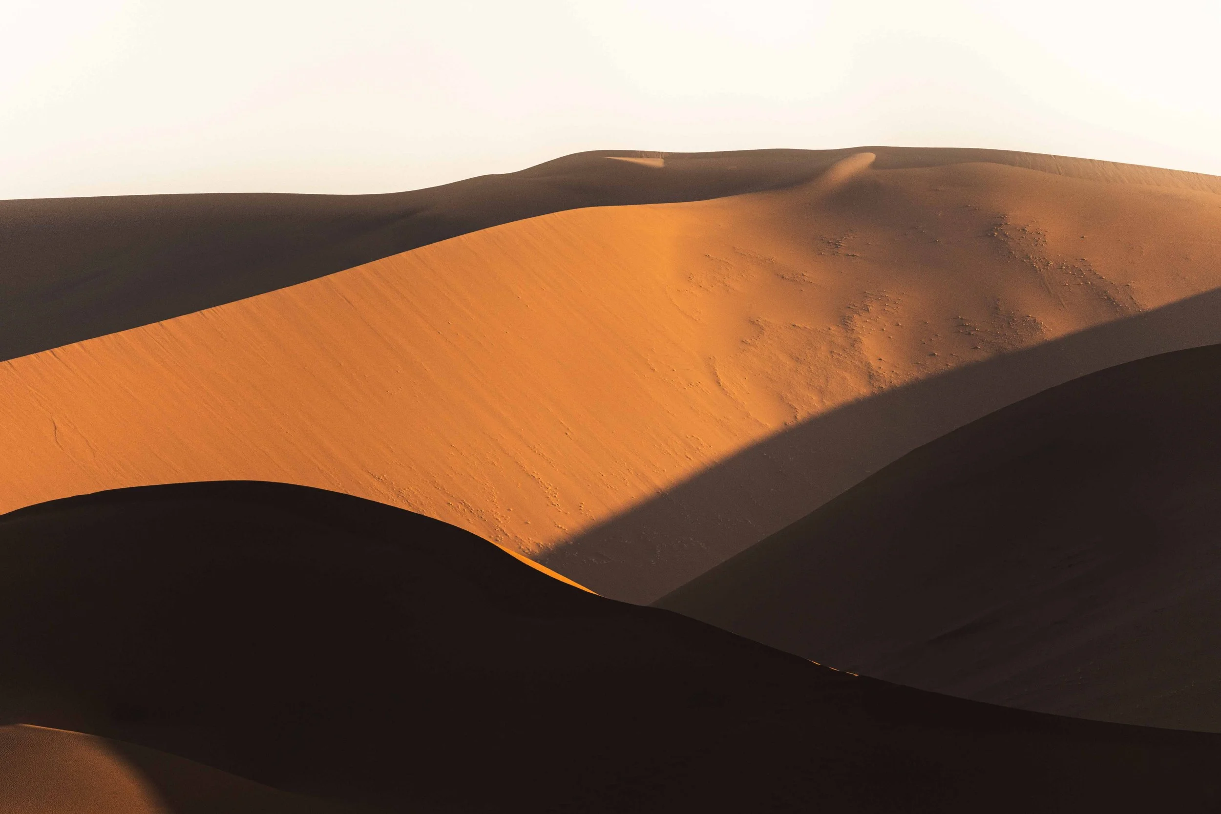 Light and shadow in the Namibian desert
