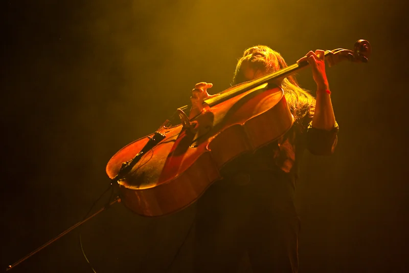 Avett Brothers