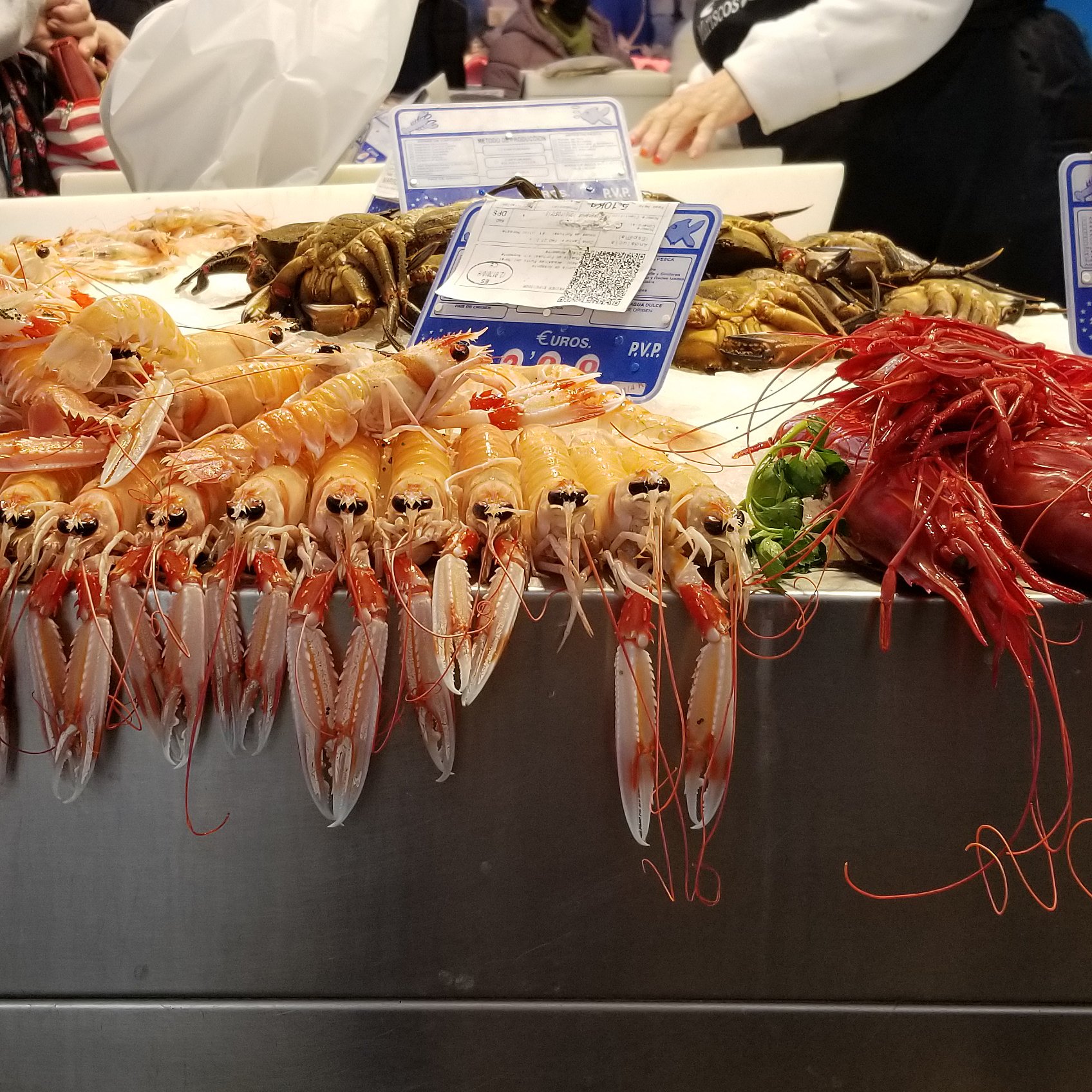 Cadiz seafood market SQUARE.jpg