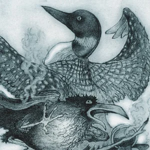 The Impatient Loon.300.jpg