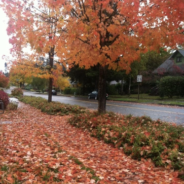 it used to be summer.