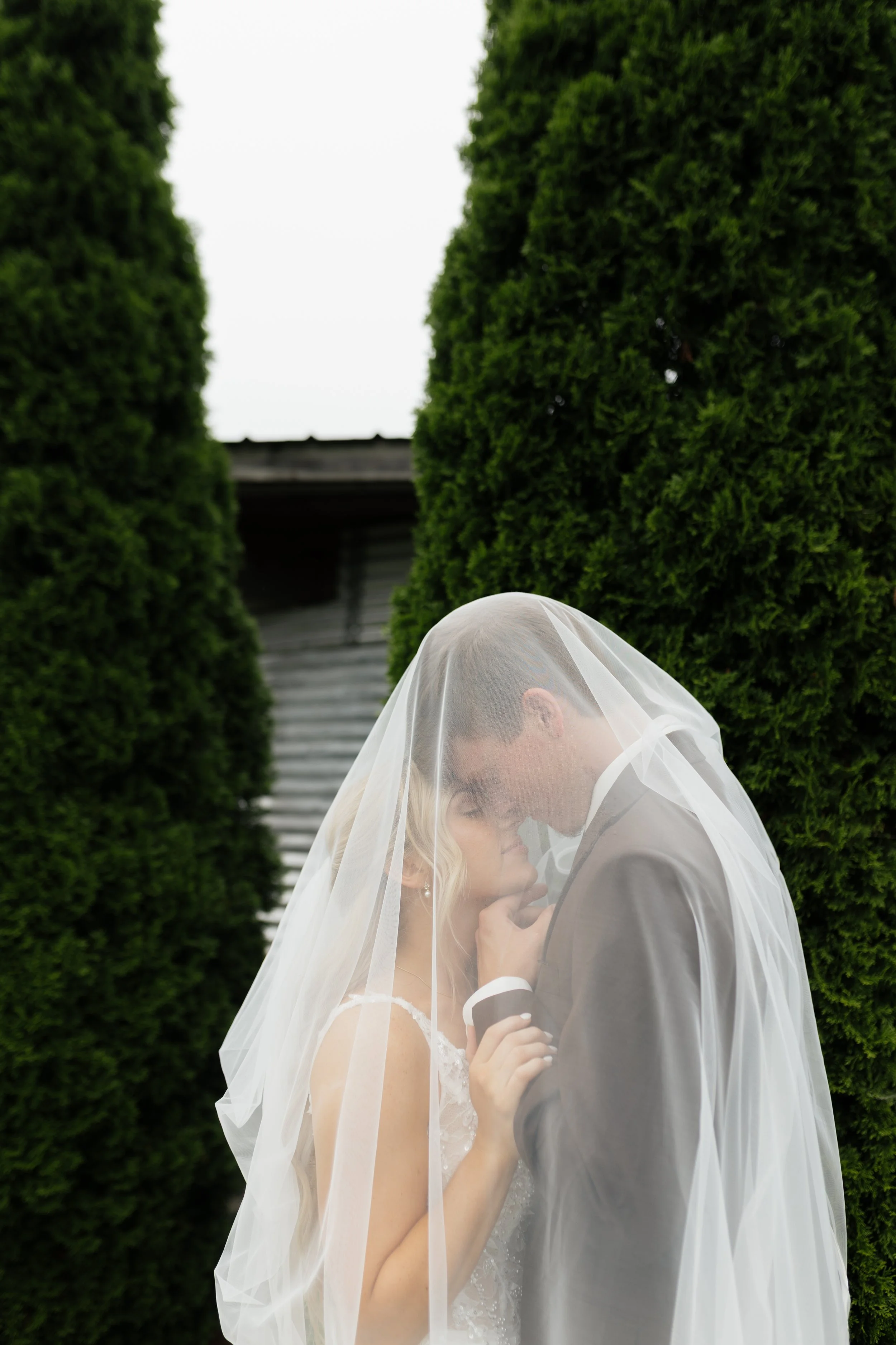 A newlywed couple sharing an intimate moment behind a sheer white veil, framed by tall, green, well-manicured bushes, with stairs and a building in the background.