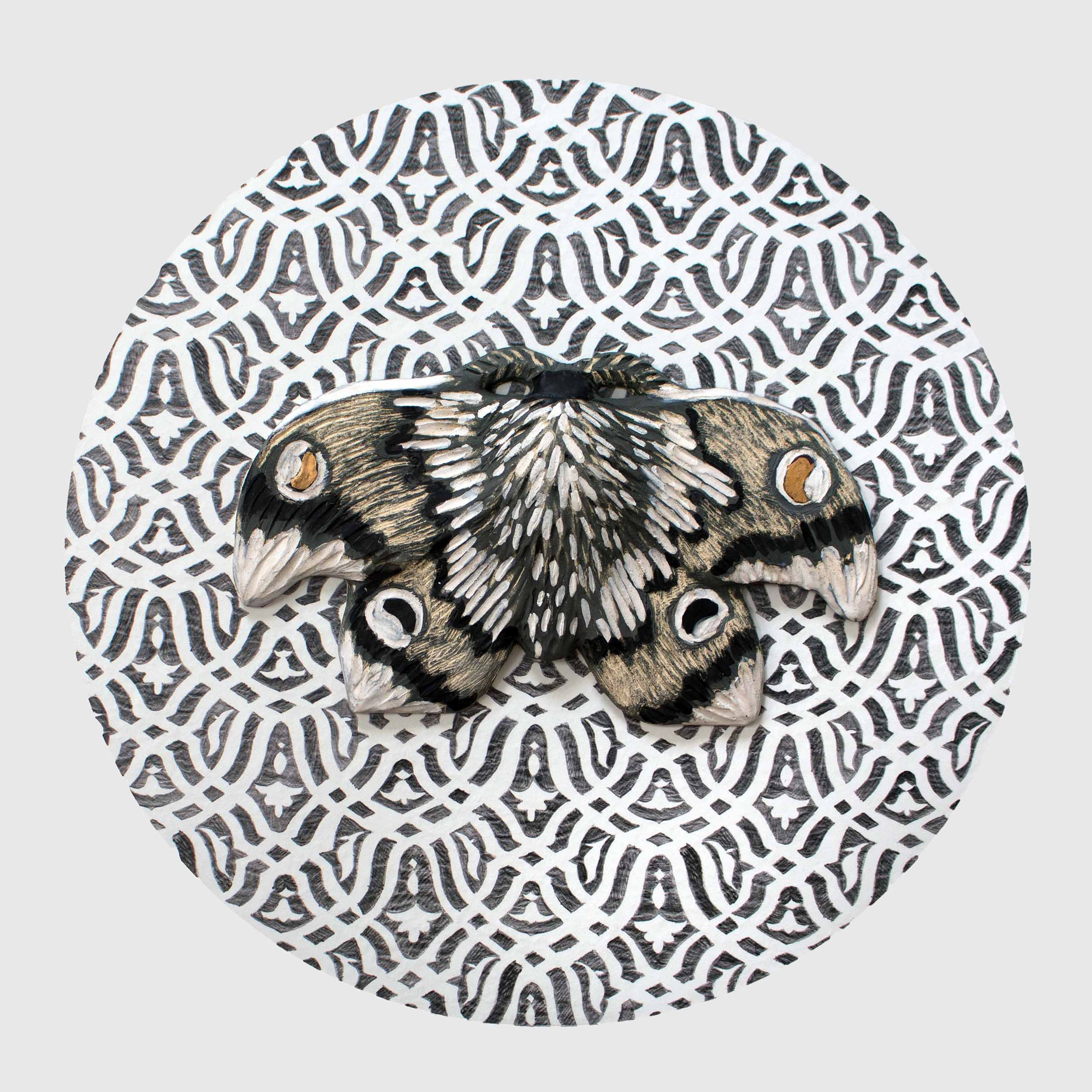   Moth 06,  ceramic moth mounted on wallpaper backdrop, 11.5”x11.5”x.5”, SOLD 
