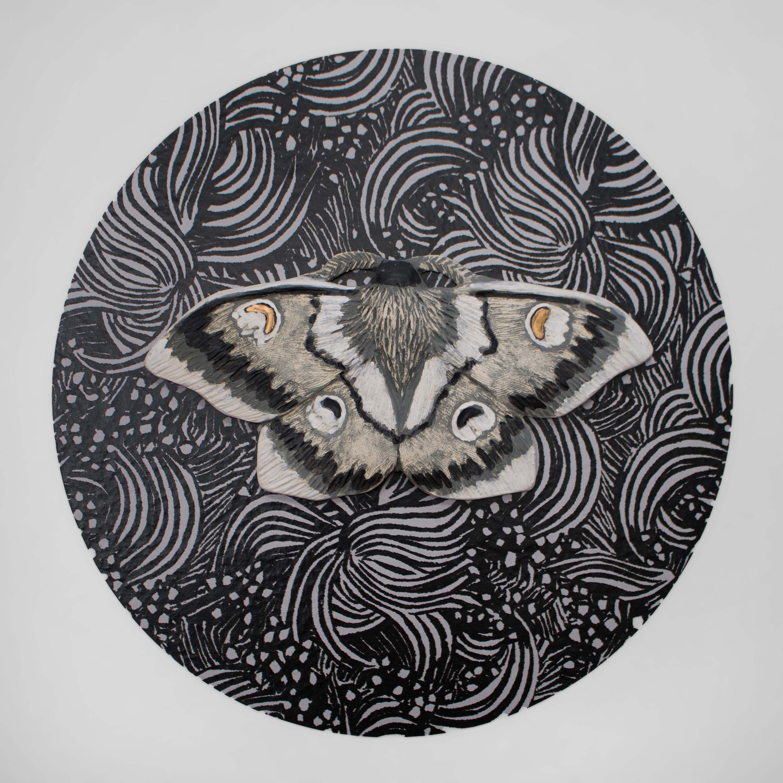   Moth 04,  ceramic moth mounted on wallpaper backdrop, 11.5”x11.5”x.5”, SOLD 