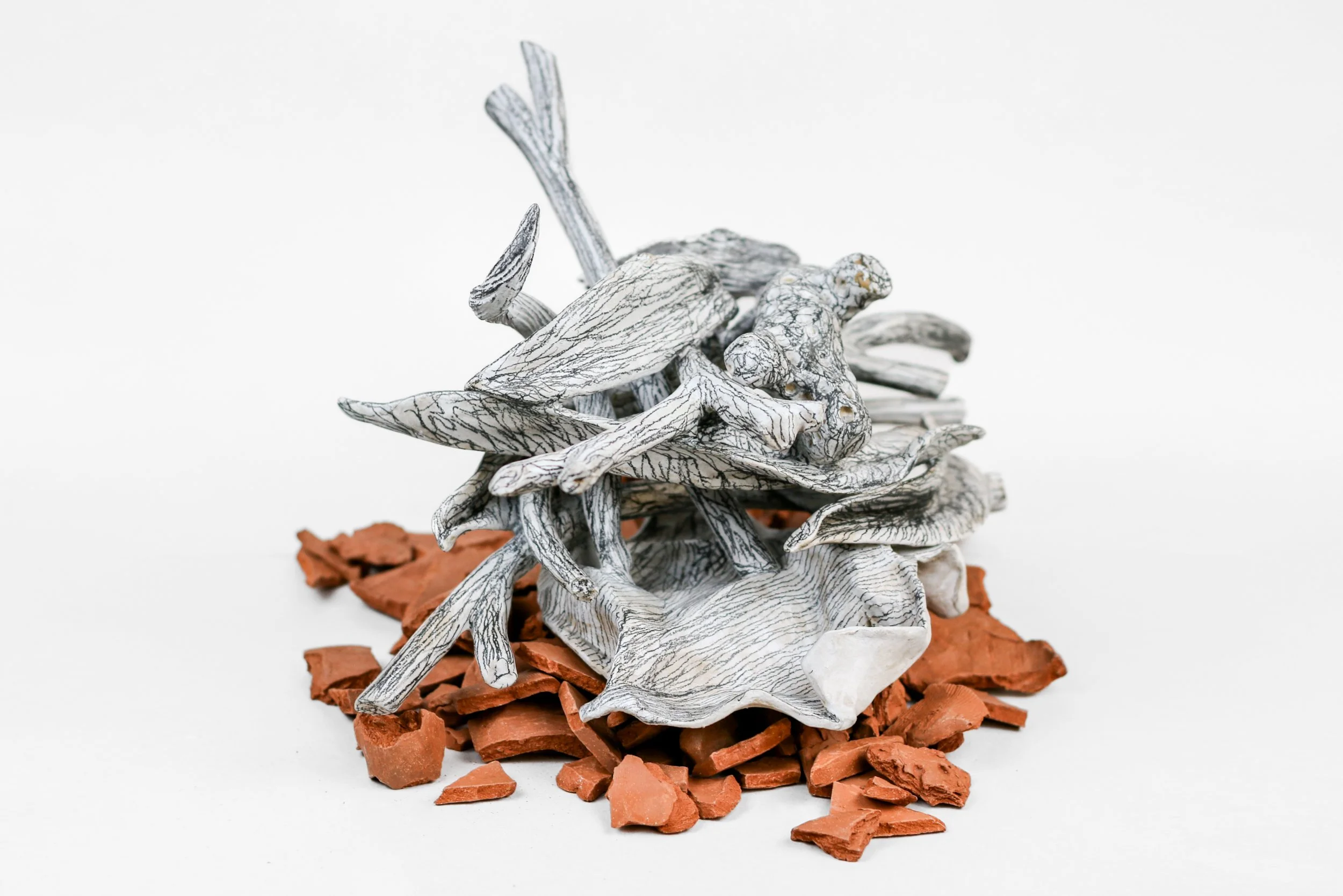 Tender Tangle | earthenware, stoneware, graphite