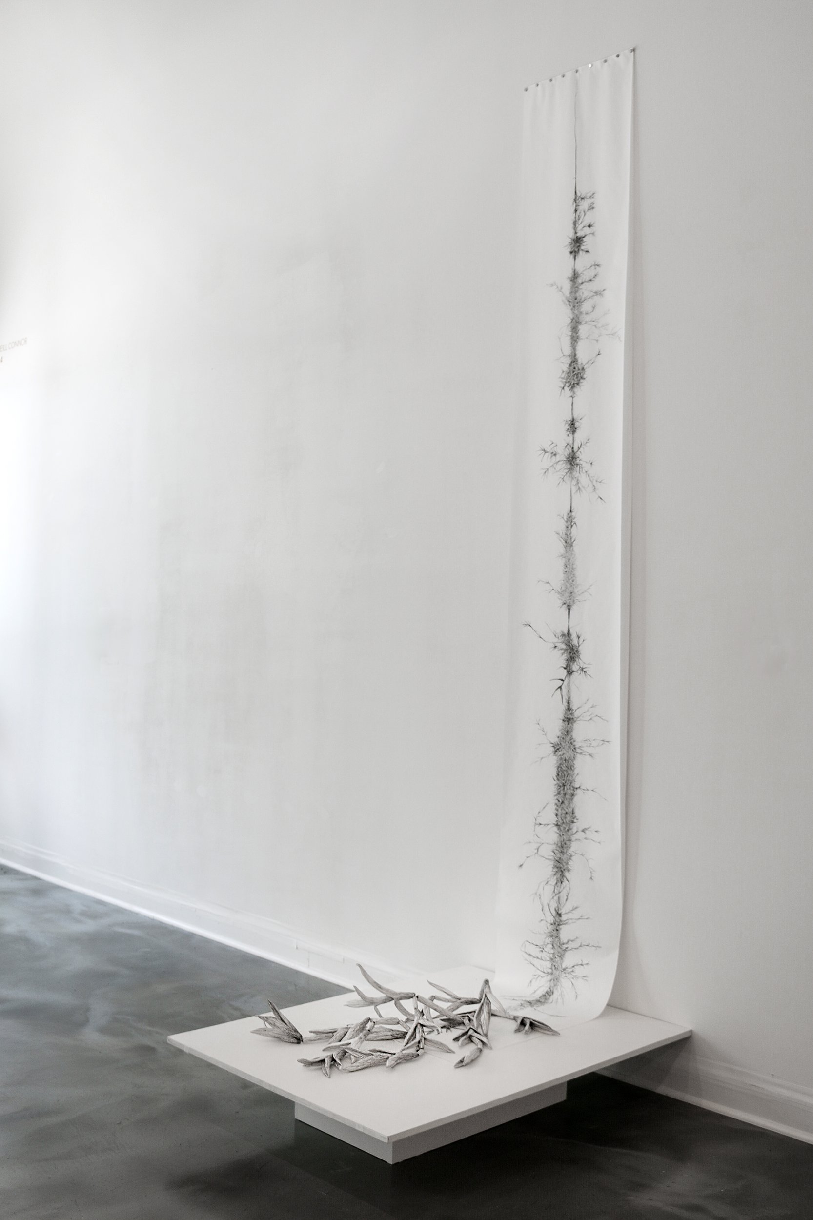  Life/Line  | ceramic, vellum, graphite, charcoal |  144 x 36 x 12 inches 