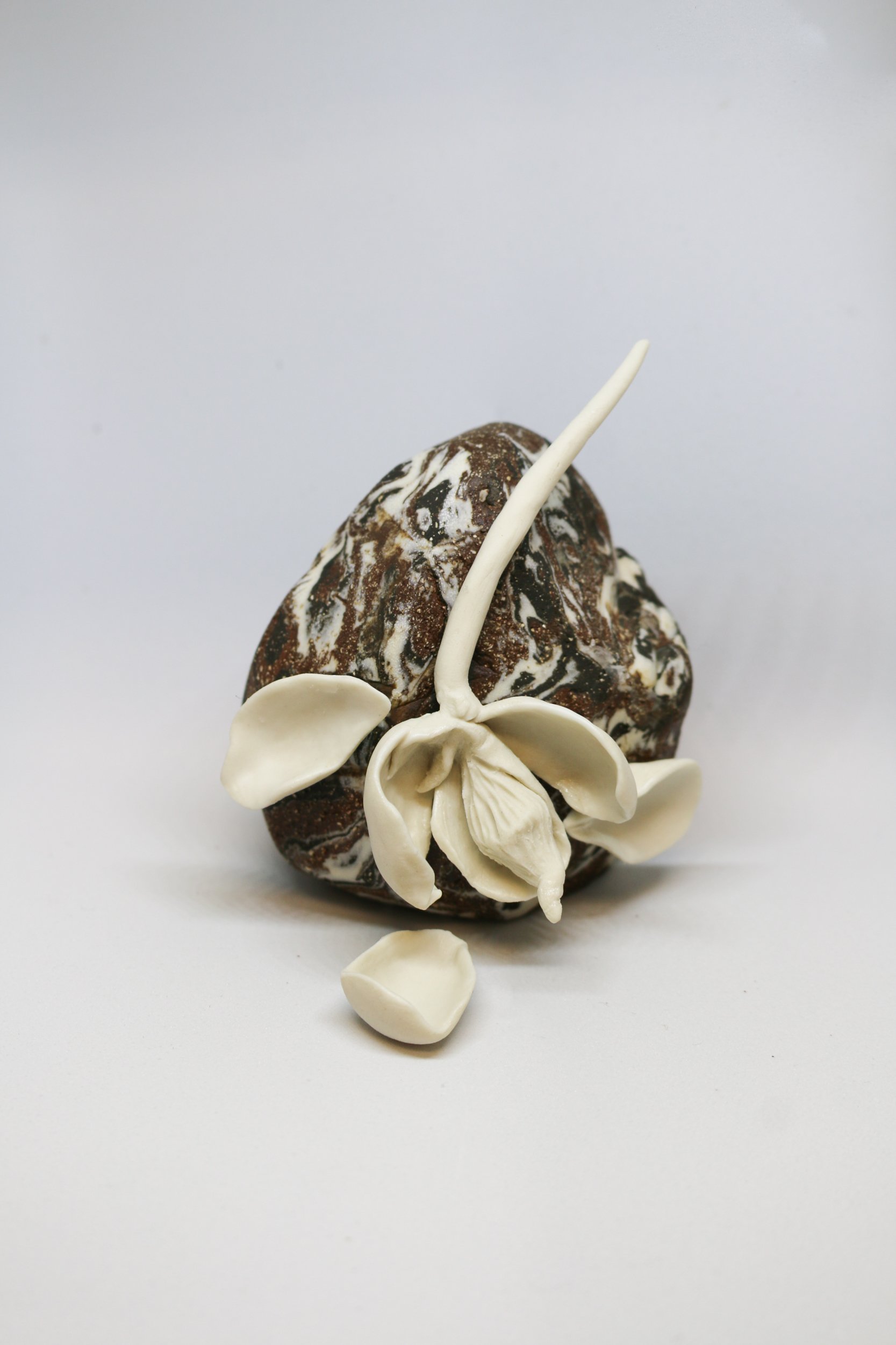 Wilt | earthenware, porcelain glaze |  3.5x3.5x3 inches 