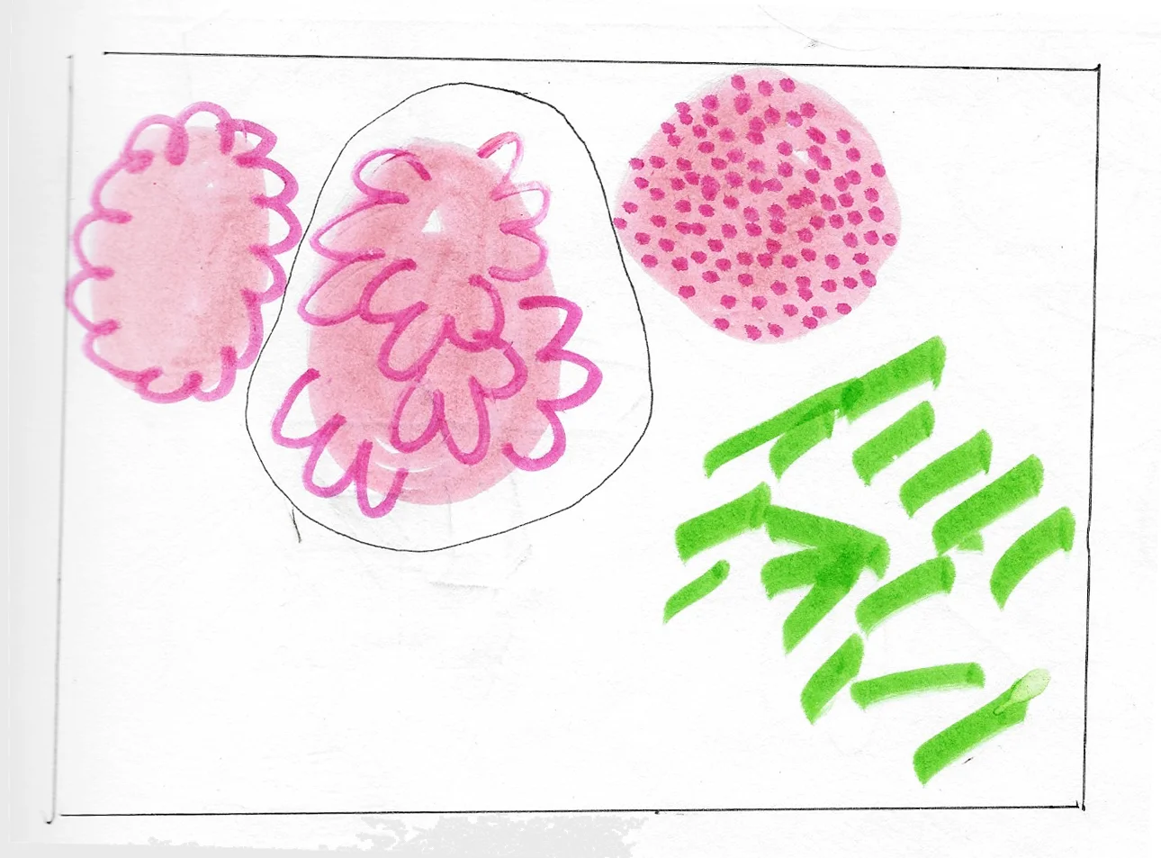 sketchbook7.jpg
