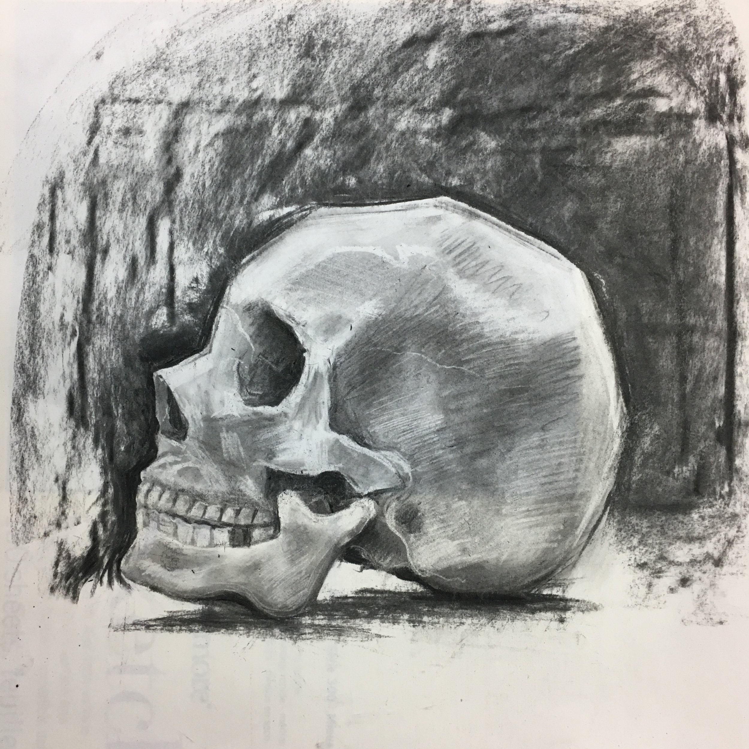 Skull Study