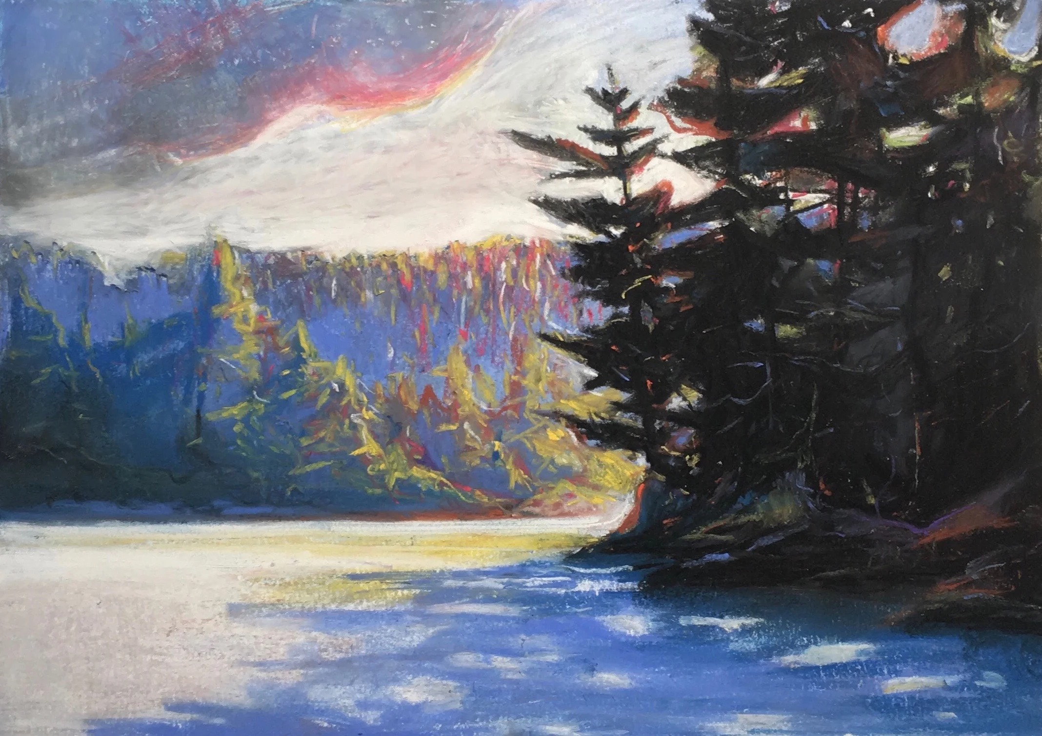 Winter Sunshine Through the Pines