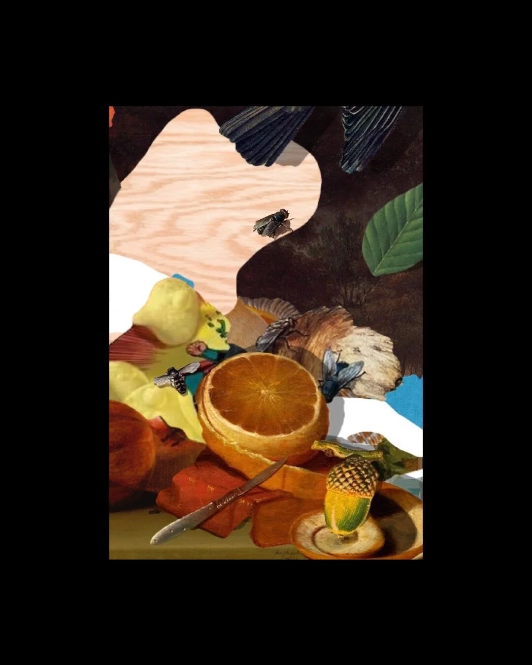 Still Life “Summit of Dreams Series” 