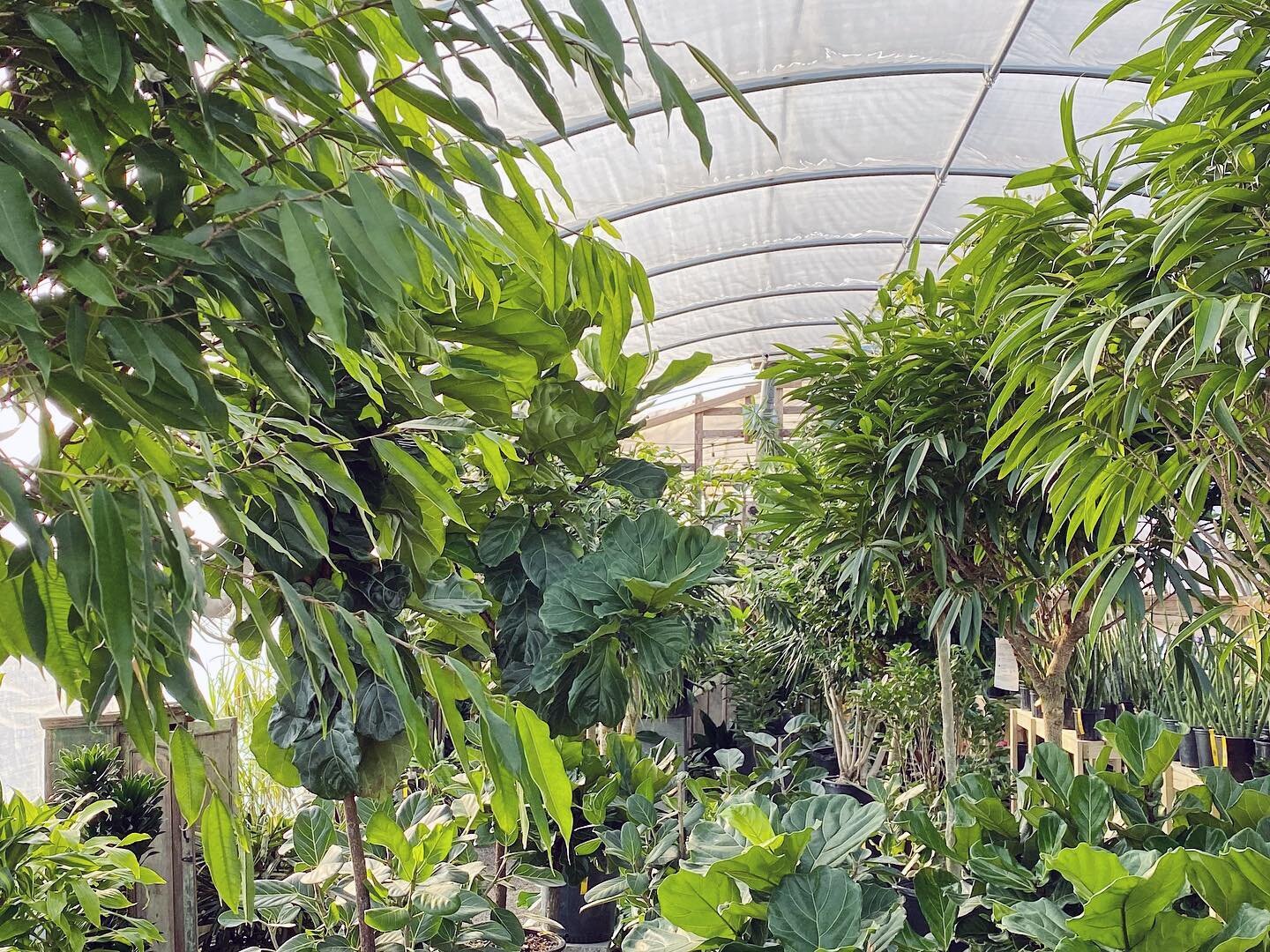 Hewitt Garden and Design Center