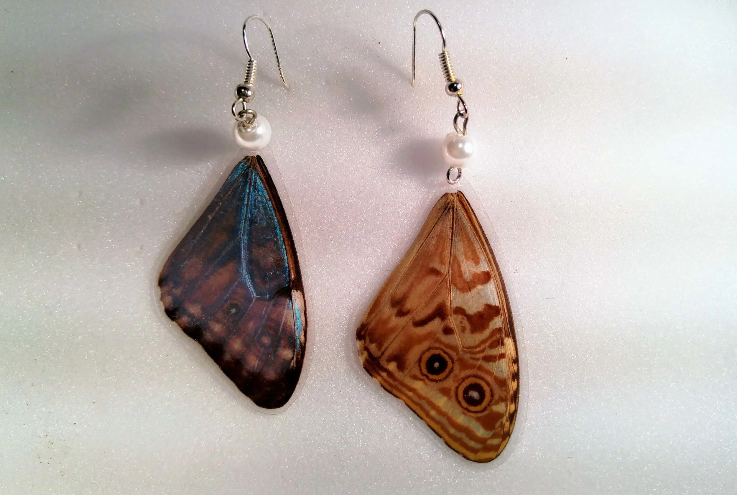 Boucle morpho 2.jpg