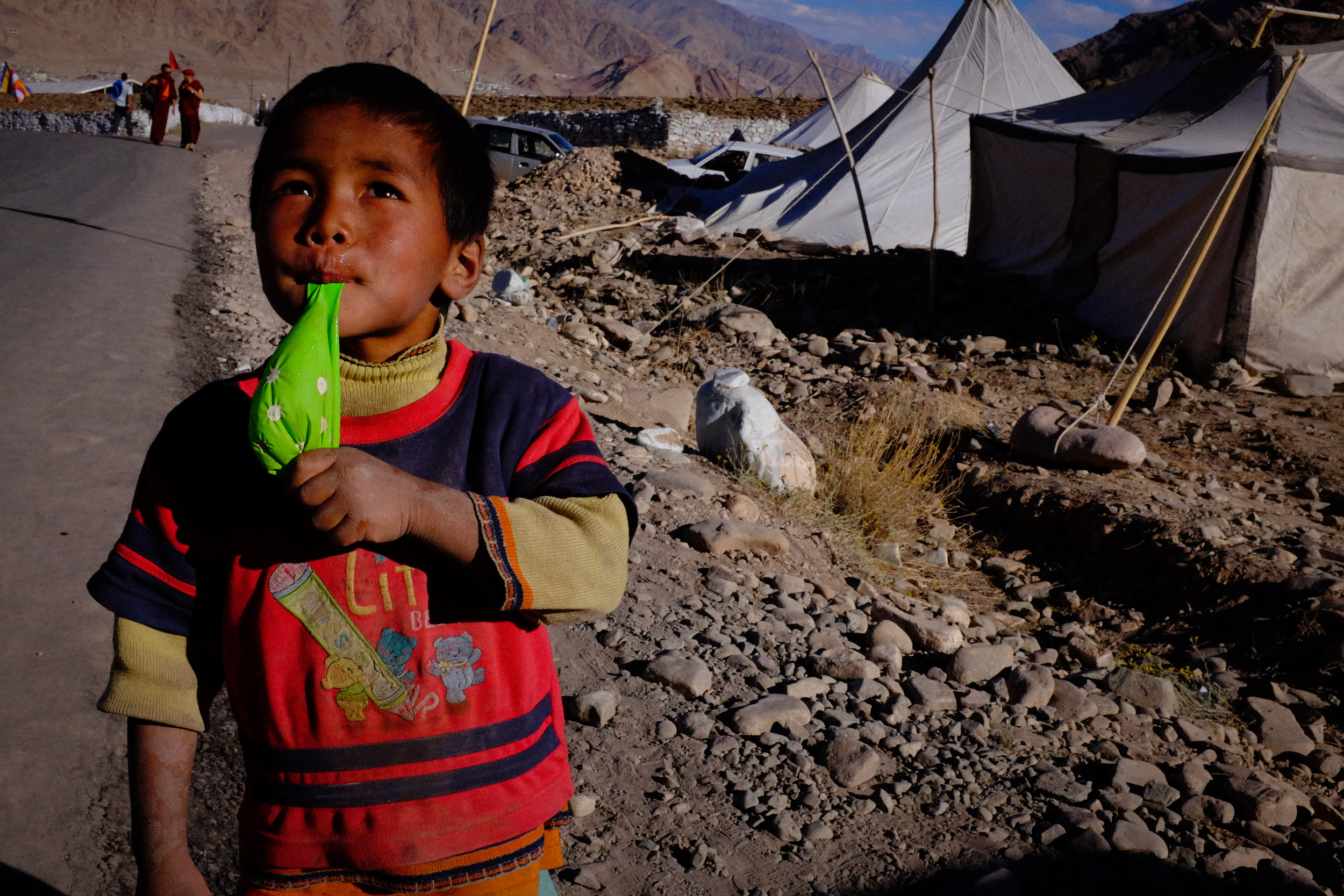 Hemis, Ladakh, 2016