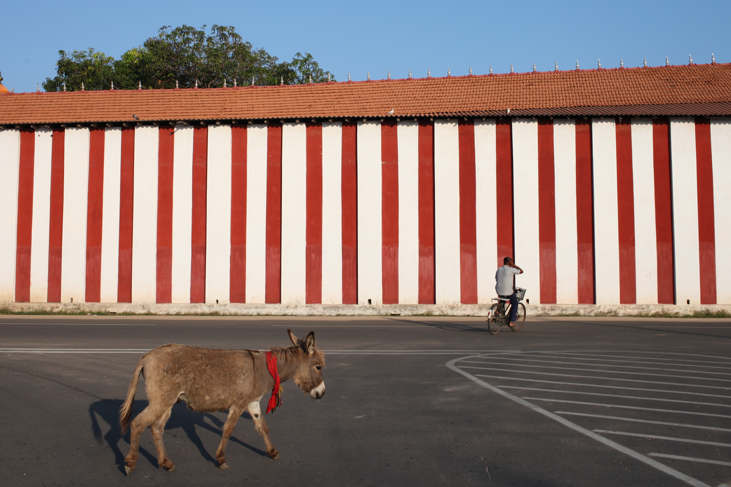 Jaffna, 2014