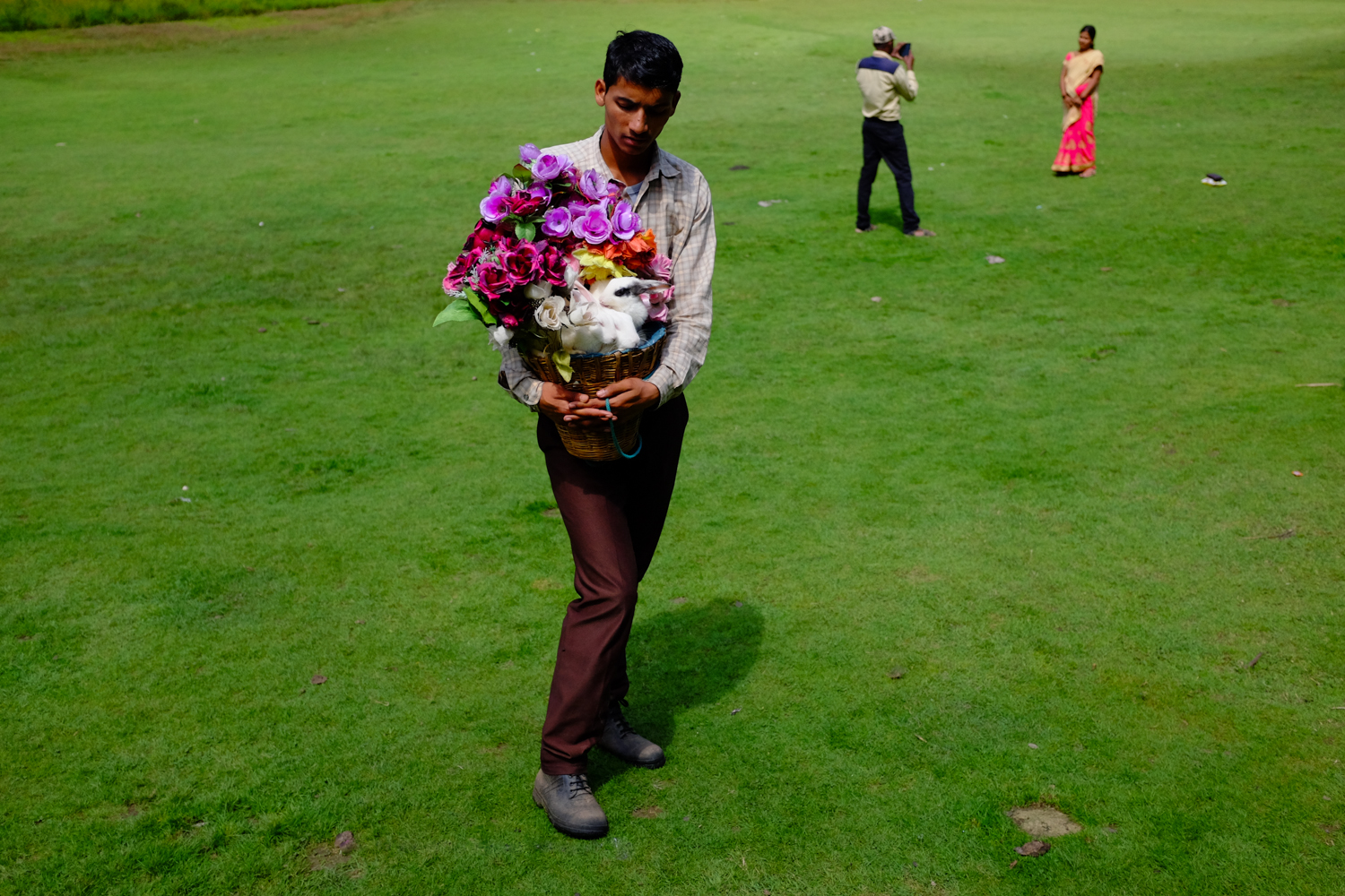 Kajjiar, Himachal Pradesh, 2016