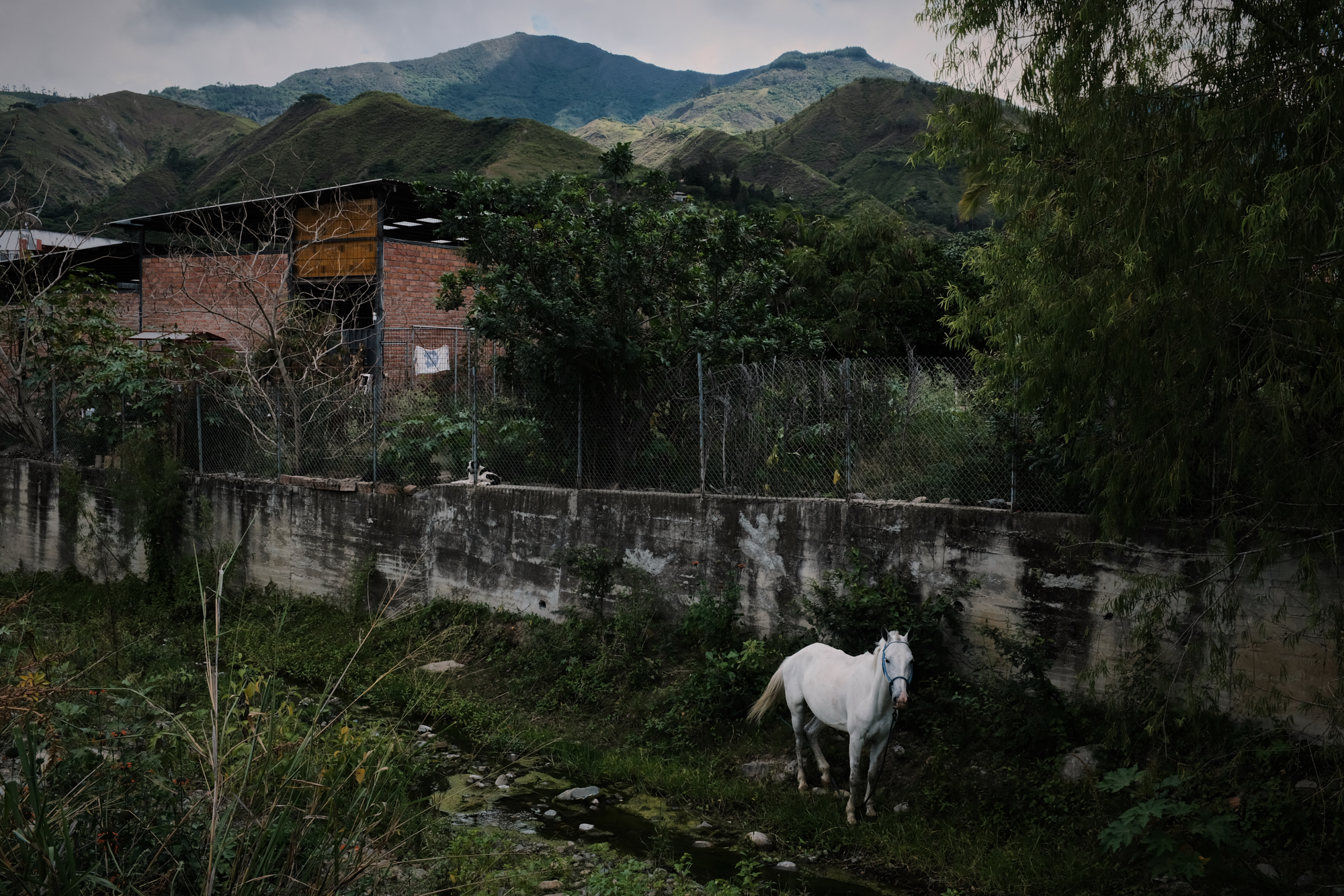 Vilcabamba, Ecuador, 2018