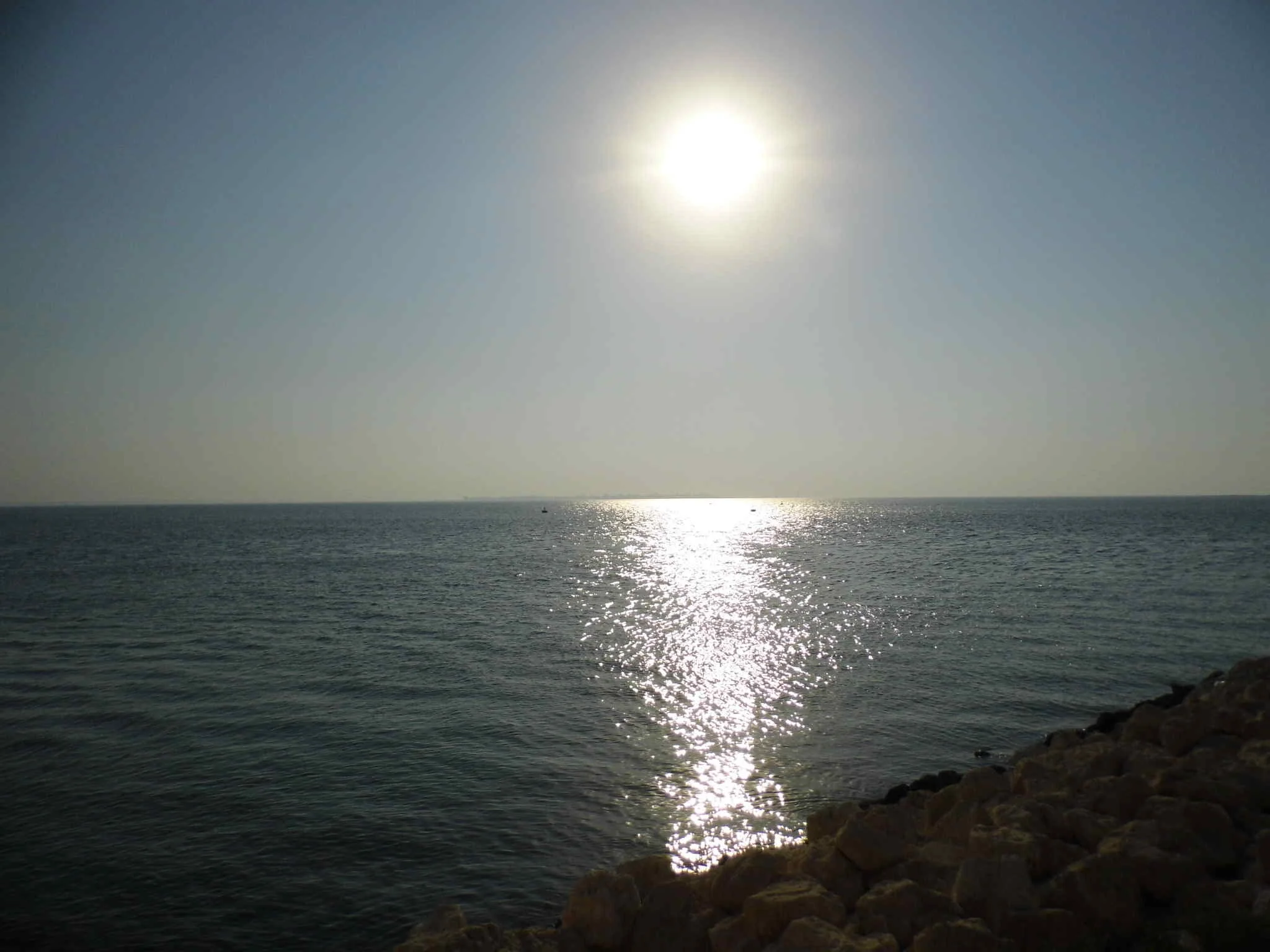 2021: What to Expect in Legal and Economic Policy, Business and Immigration 