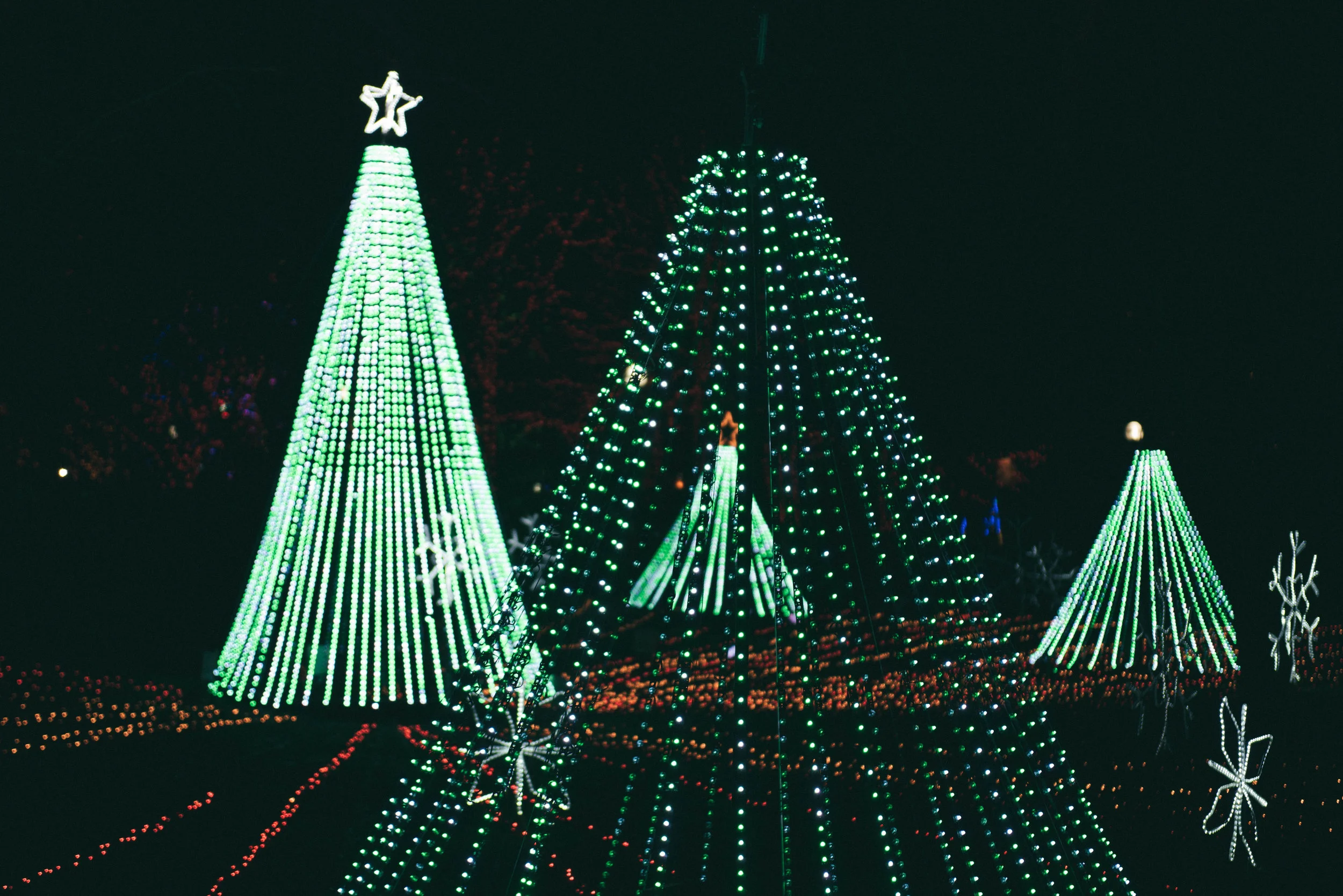 Lincoln Park Zoo Lights