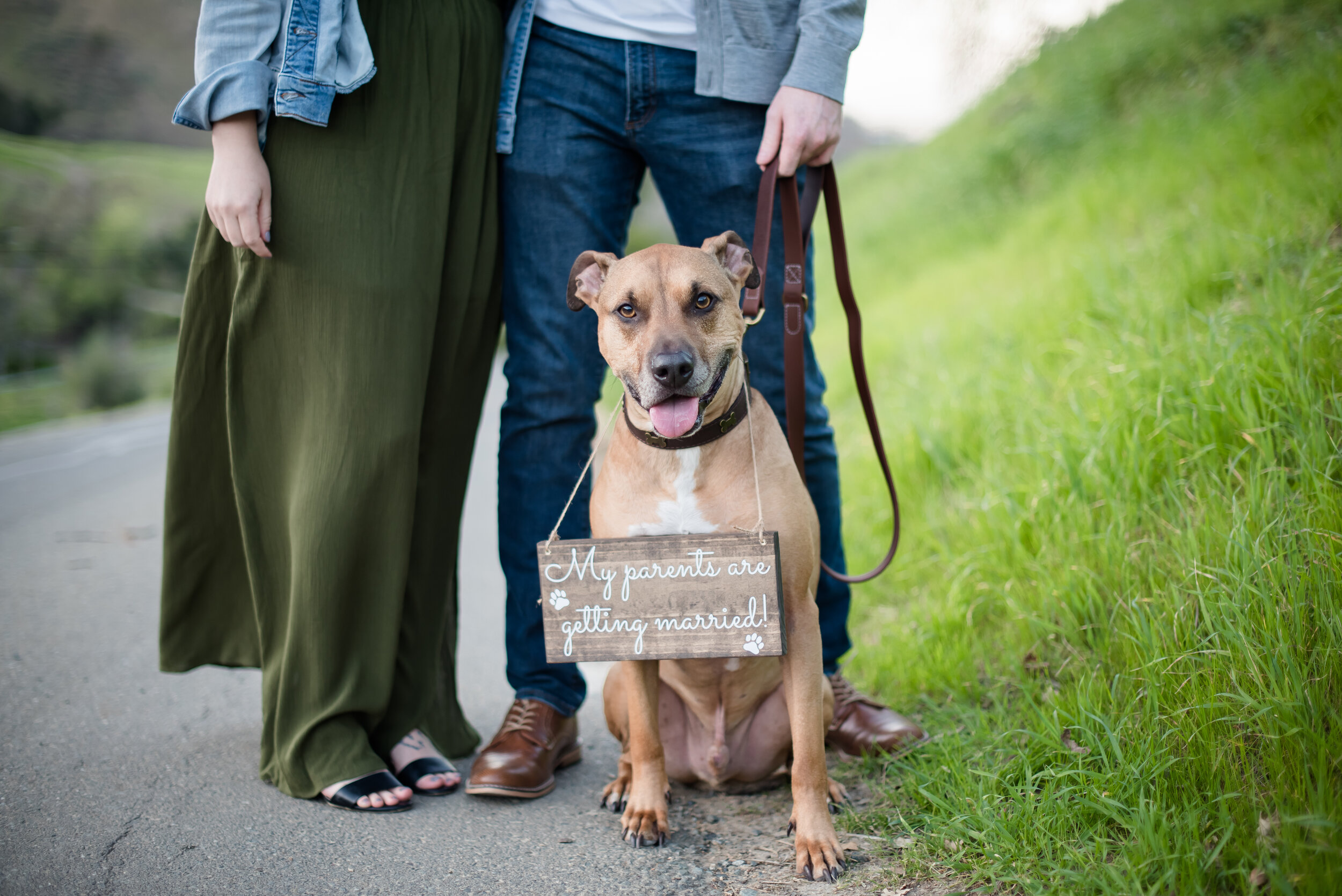 Lauren-Mikelle-Engagement-079.jpg