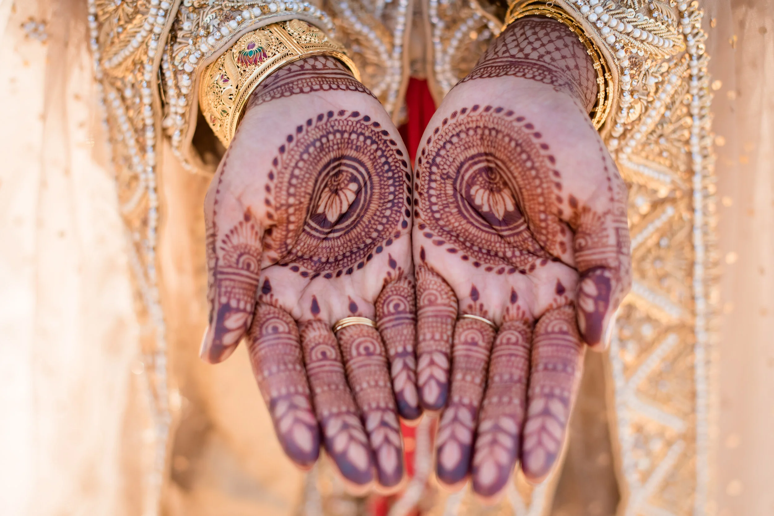 Backyard Saratoga Microwedding | Nisreen &amp; Ammar