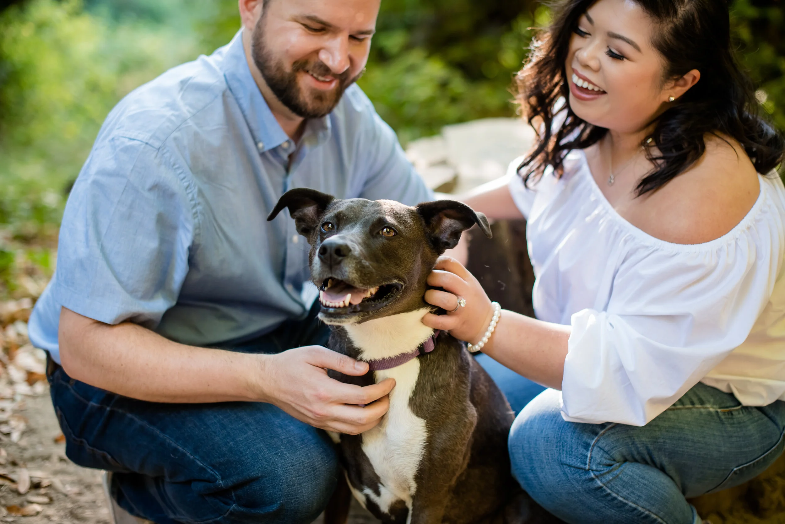 Henry Cowell Redwood Park Engagement | Mandy &amp; Peter