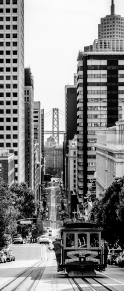 San Francisco is the leader in mass transit and green transportation initiatives and is served by an extensive network of seaports, rail, road and air routes