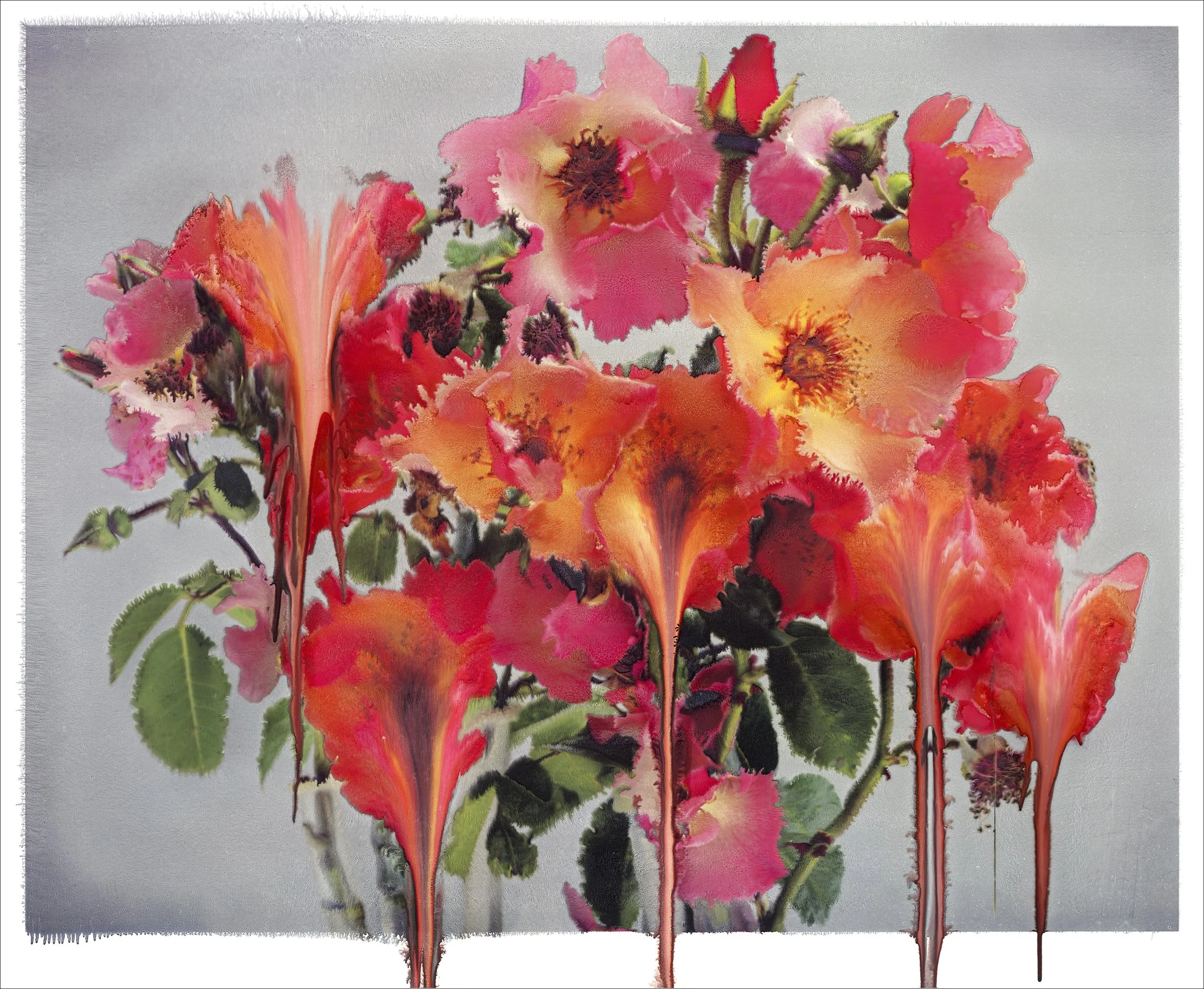 Nick Knight, Rose IV , 2012, Archival Hand-Coated Pigment Print, 50 x 60.82 inches, Edition of 5. Image courtesy of Nick Knight.