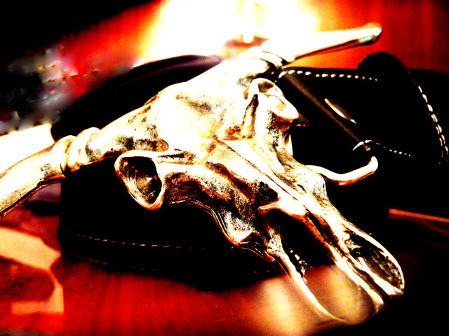 Longhorn Airbrush/ Dibond 200cm x 150 cm