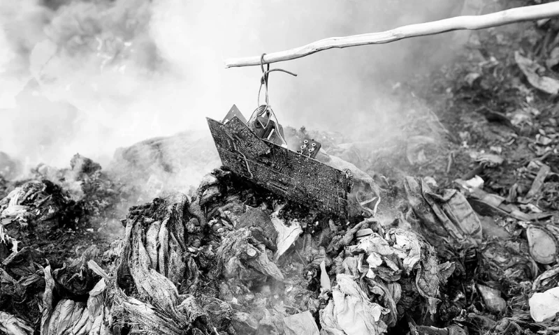 Bringing Art From Africa to Audiences Around the World