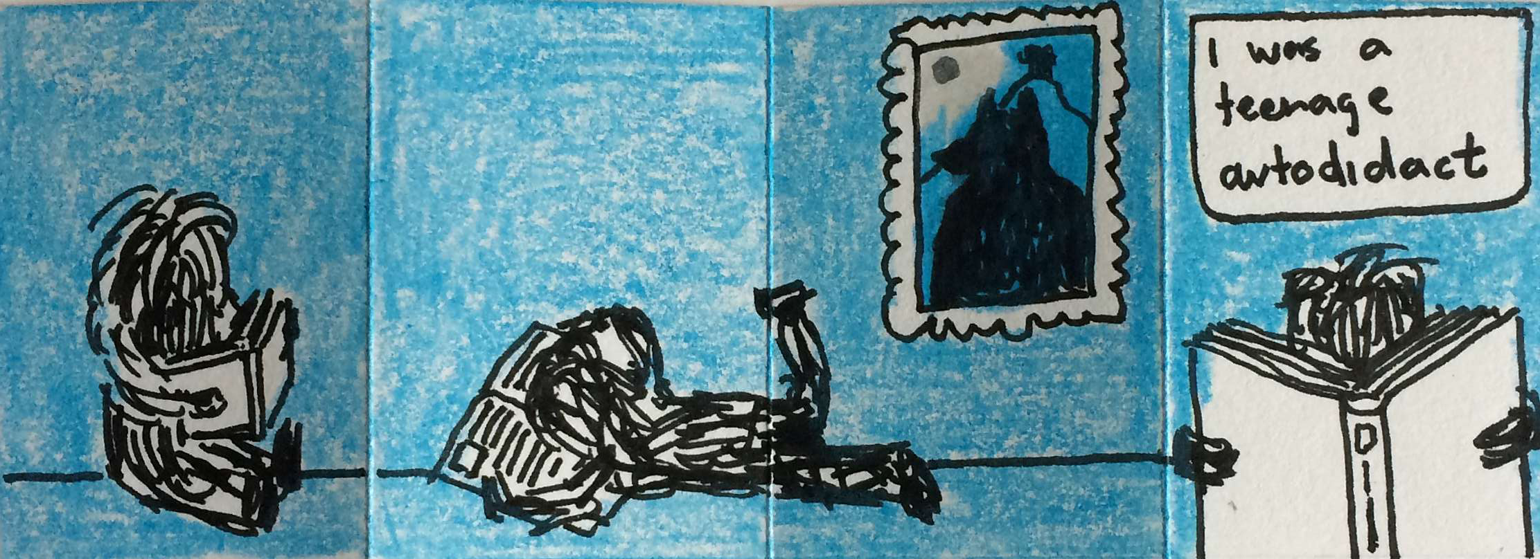 i was a teenage autodidact