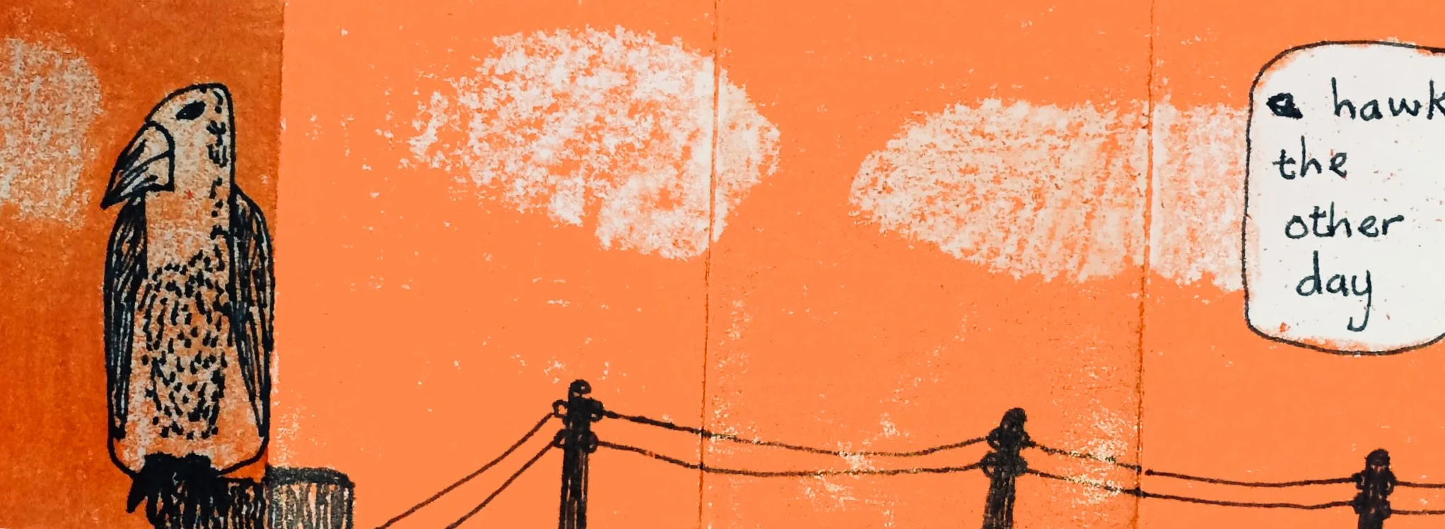 a hawk the other day.jpg