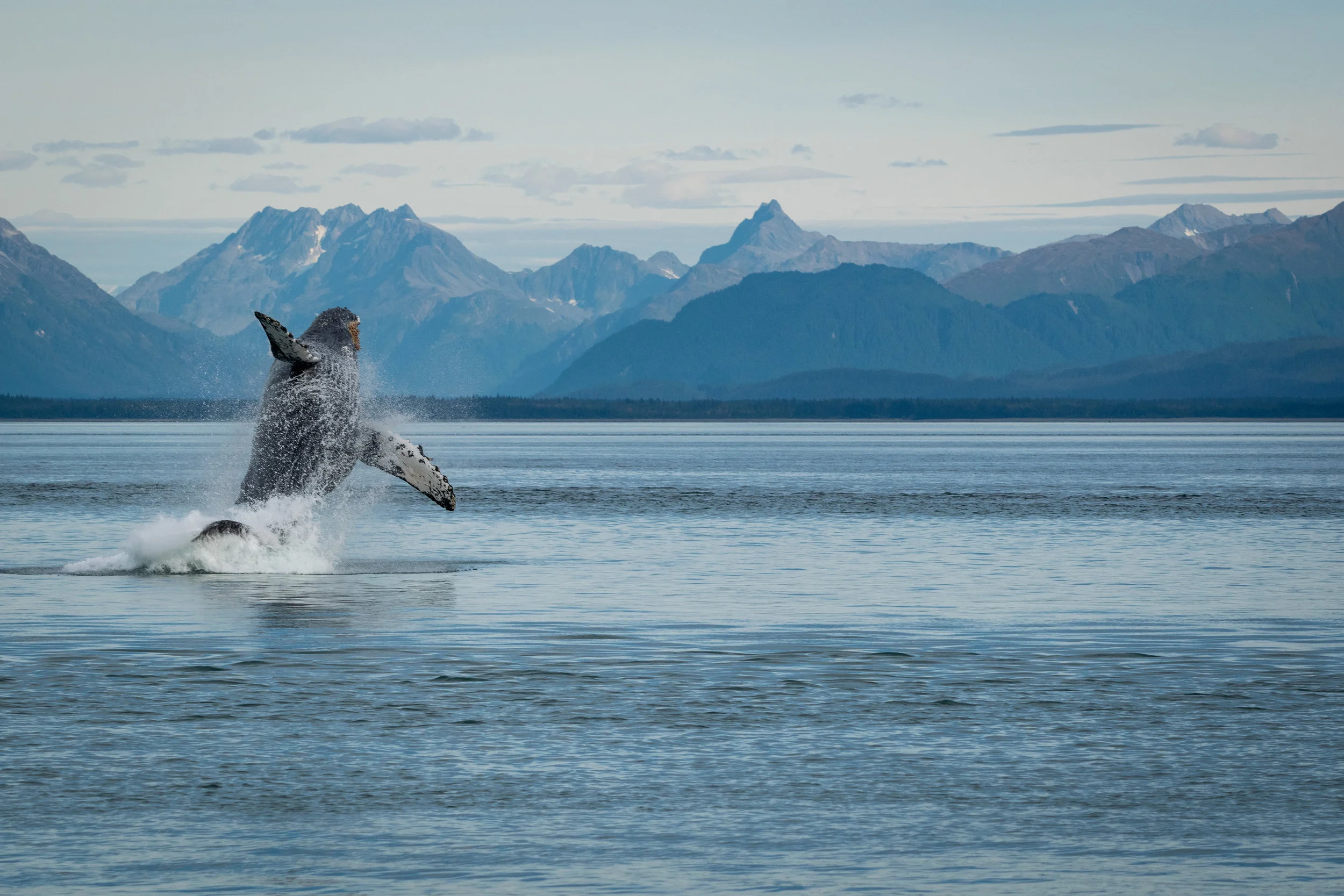 Icy Point Breach (1 of 1)-3.jpg
