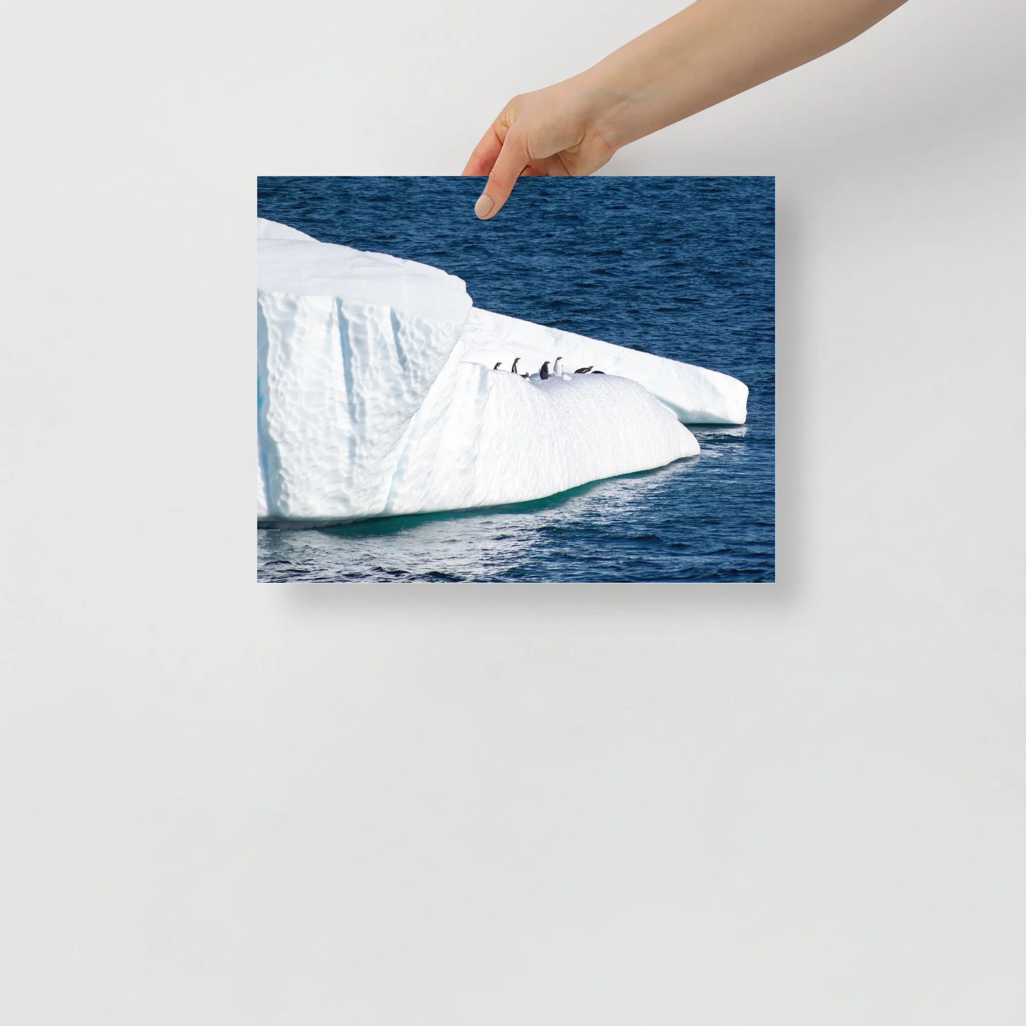 enhanced-matte-paper-poster-(in)-11x14-front-63c0593cd0761.jpg