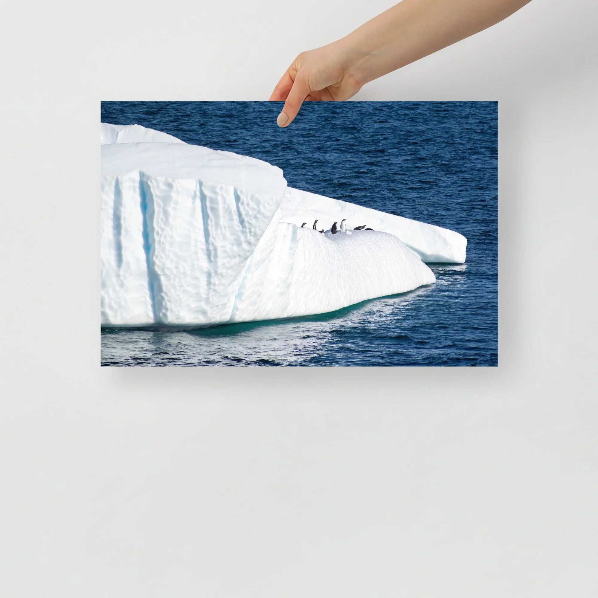 enhanced-matte-paper-poster-(in)-12x18-front-63c0593cd0828.jpg
