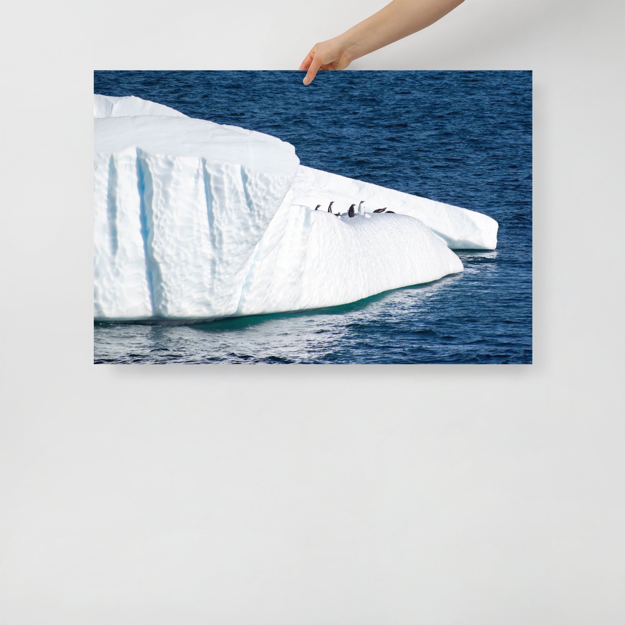 enhanced-matte-paper-poster-(in)-24x36-front-63c0593cd09ba.jpg