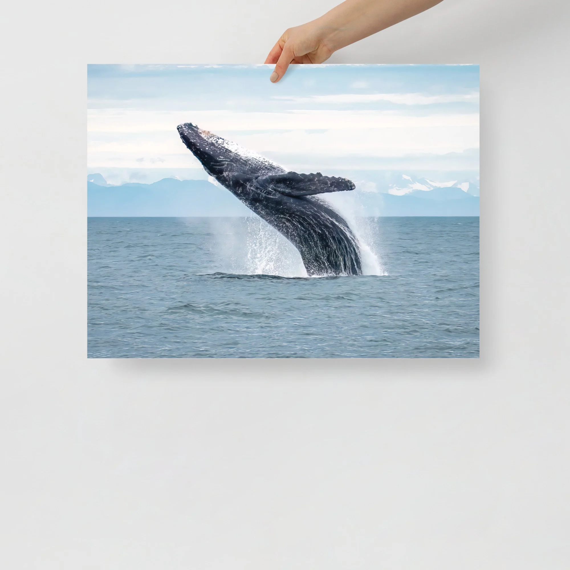 enhanced-matte-paper-poster-(in)-18x24-front-63c05a17f1eba.jpg