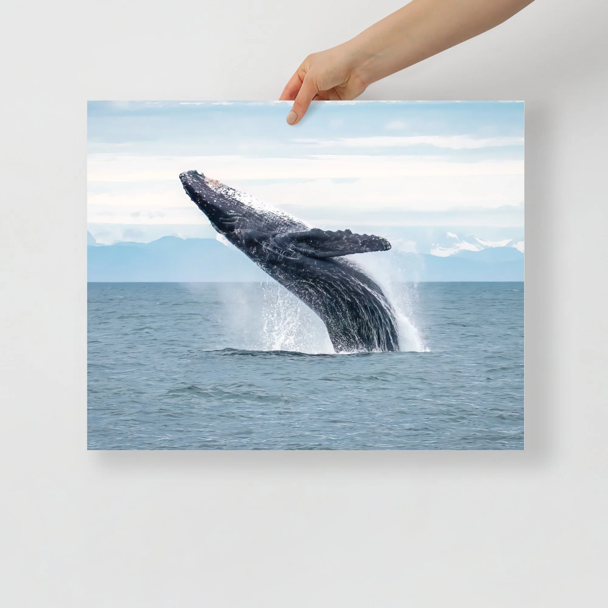 enhanced-matte-paper-poster-(in)-16x20-front-63c05a17f360d.jpg