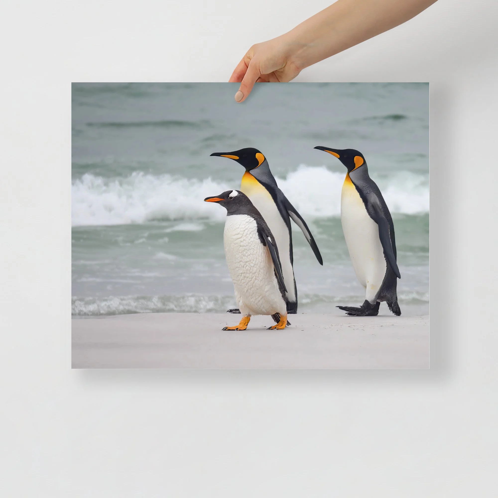 enhanced-matte-paper-poster-(in)-16x20-front-63c0733566744.jpg