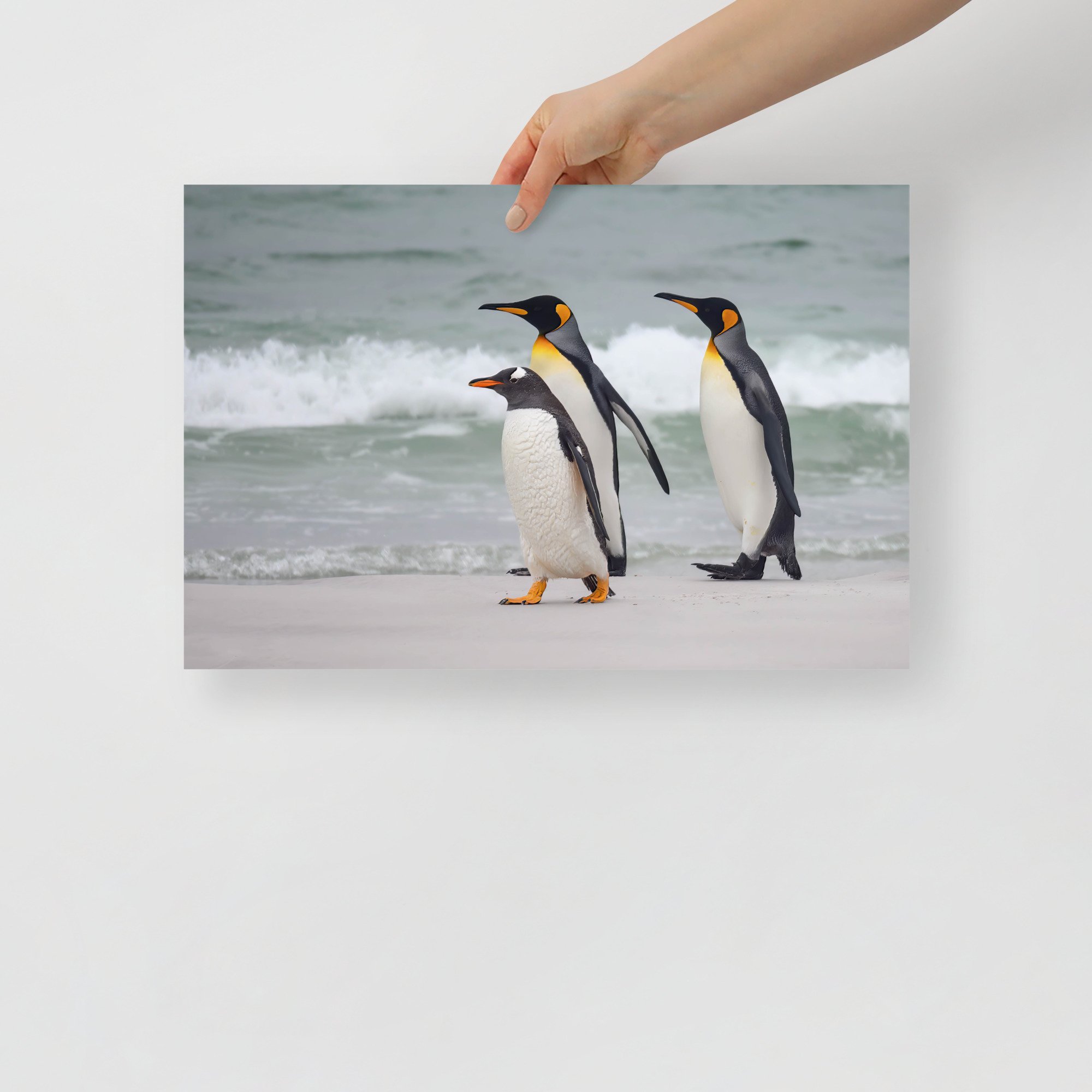 enhanced-matte-paper-poster-(in)-12x18-front-63c0733567028.jpg