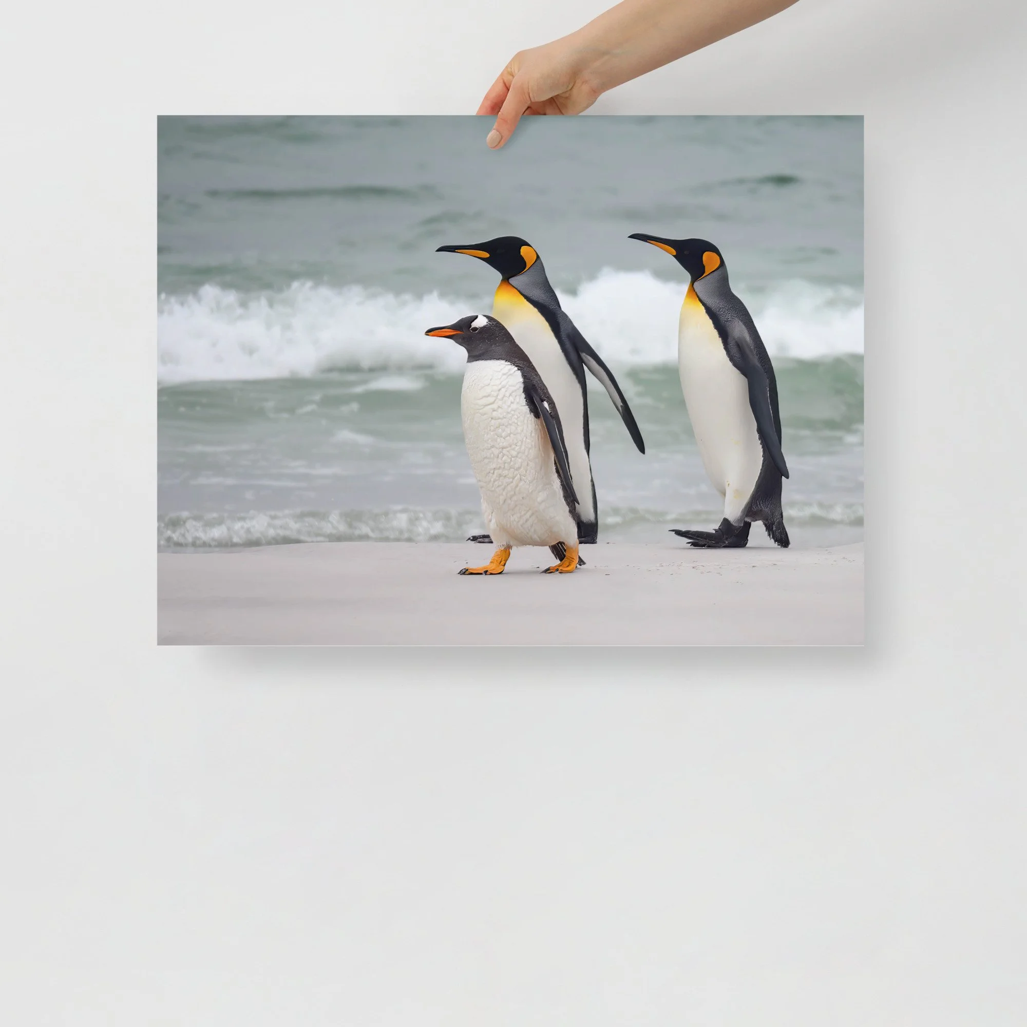 enhanced-matte-paper-poster-(in)-18x24-front-63c0733567189.jpg