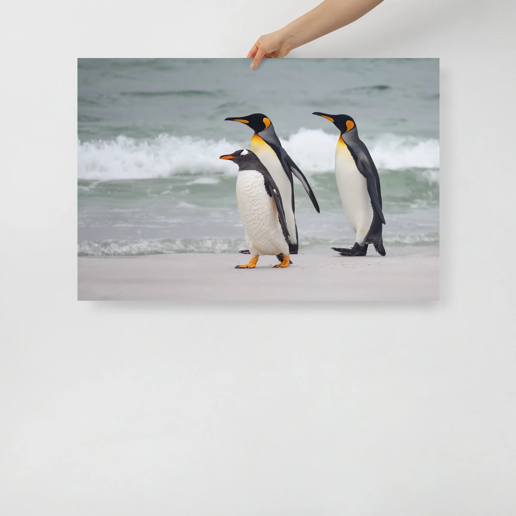 enhanced-matte-paper-poster-(in)-24x36-front-63c073356728b.jpg