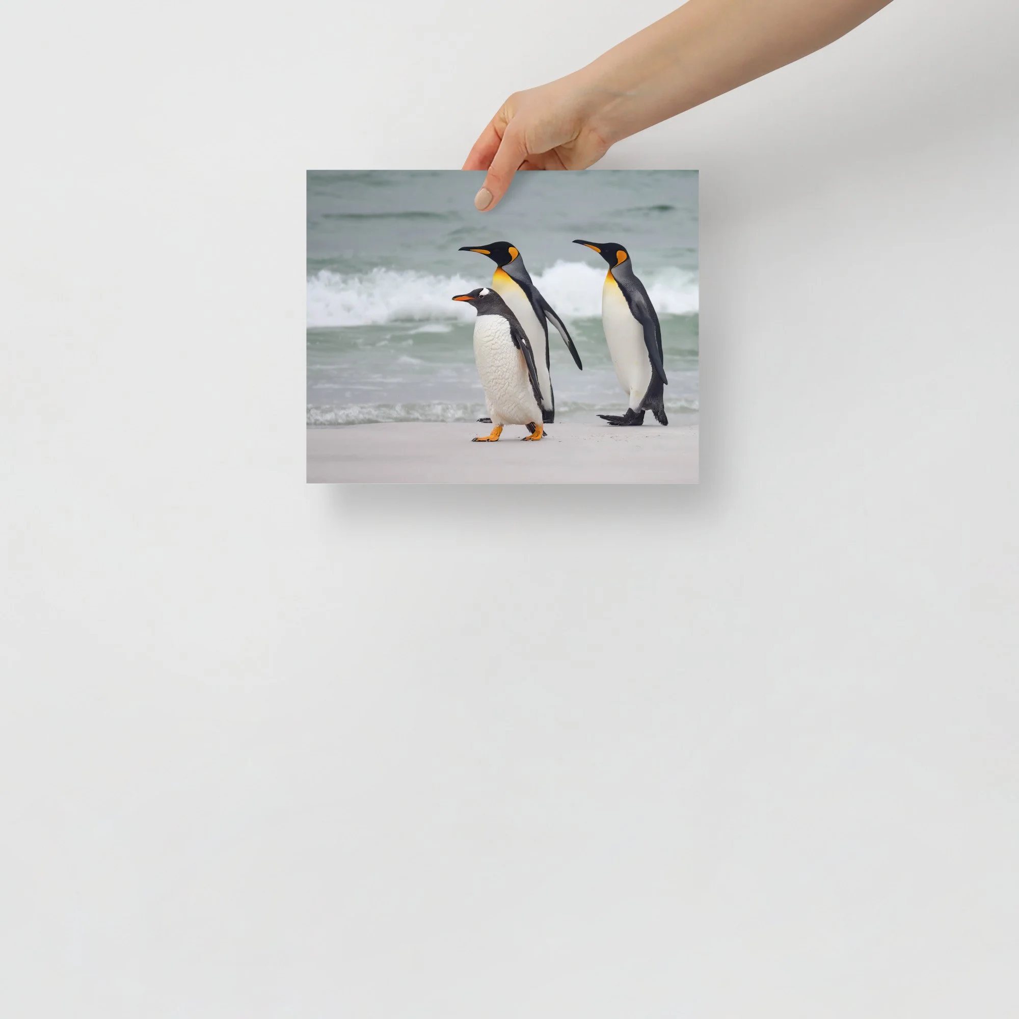 enhanced-matte-paper-poster-(in)-8x10-front-63c0733567350.jpg