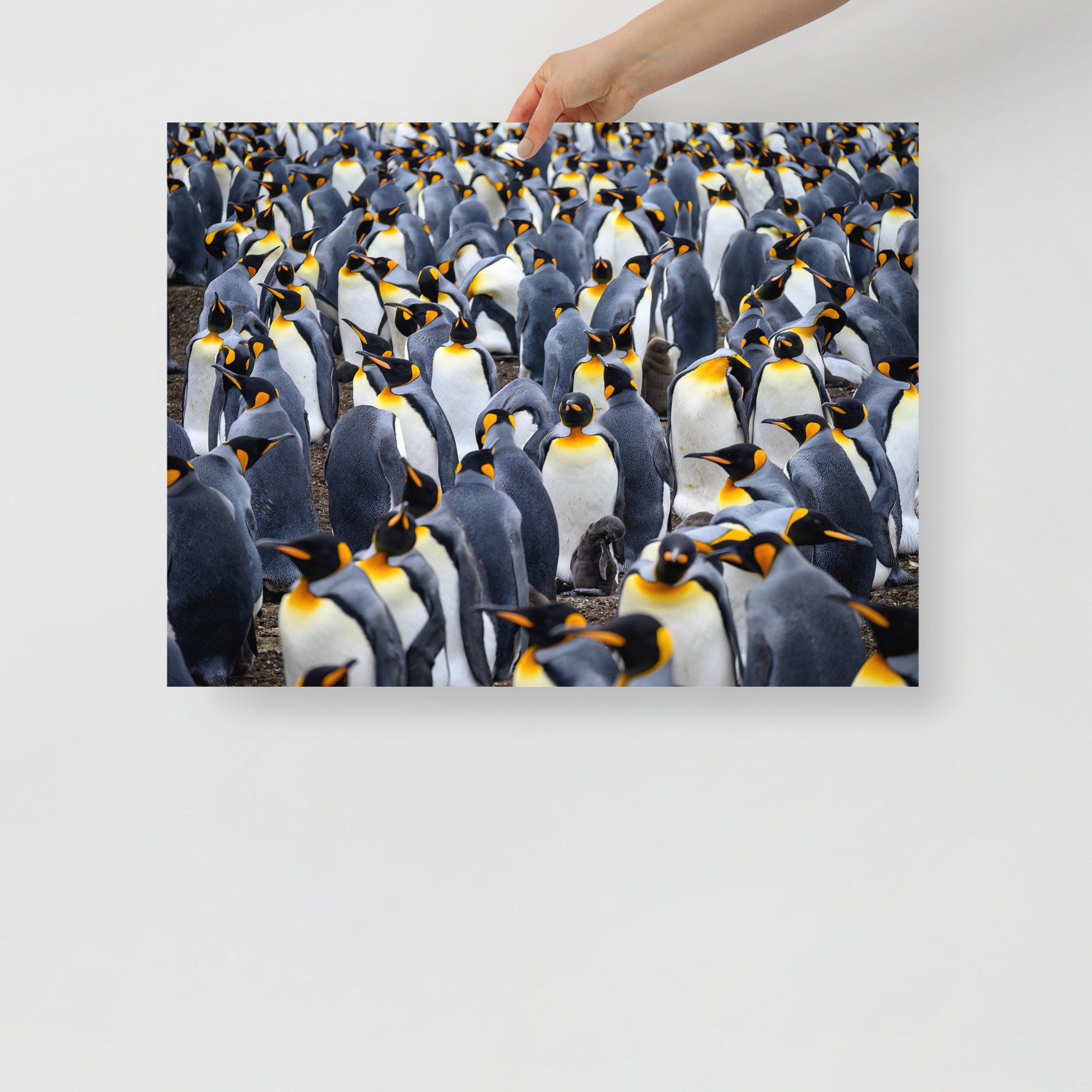 enhanced-matte-paper-poster-(in)-18x24-front-63c0763d0b0fa.jpg