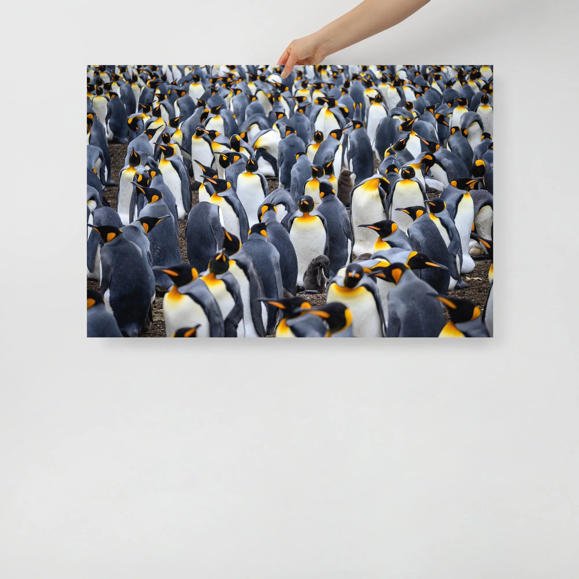 enhanced-matte-paper-poster-(in)-24x36-front-63c0763d0b213.jpg