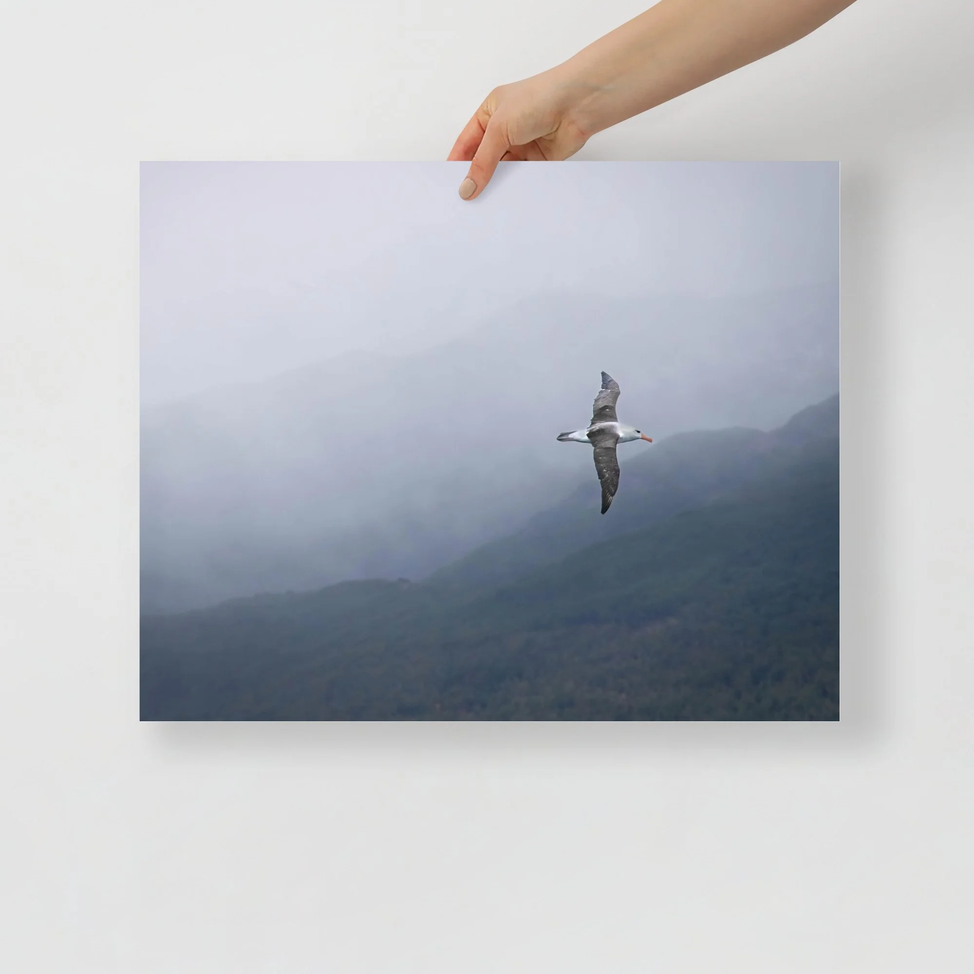 enhanced-matte-paper-poster-(in)-16x20-front-63c07b1d85b3f.jpg