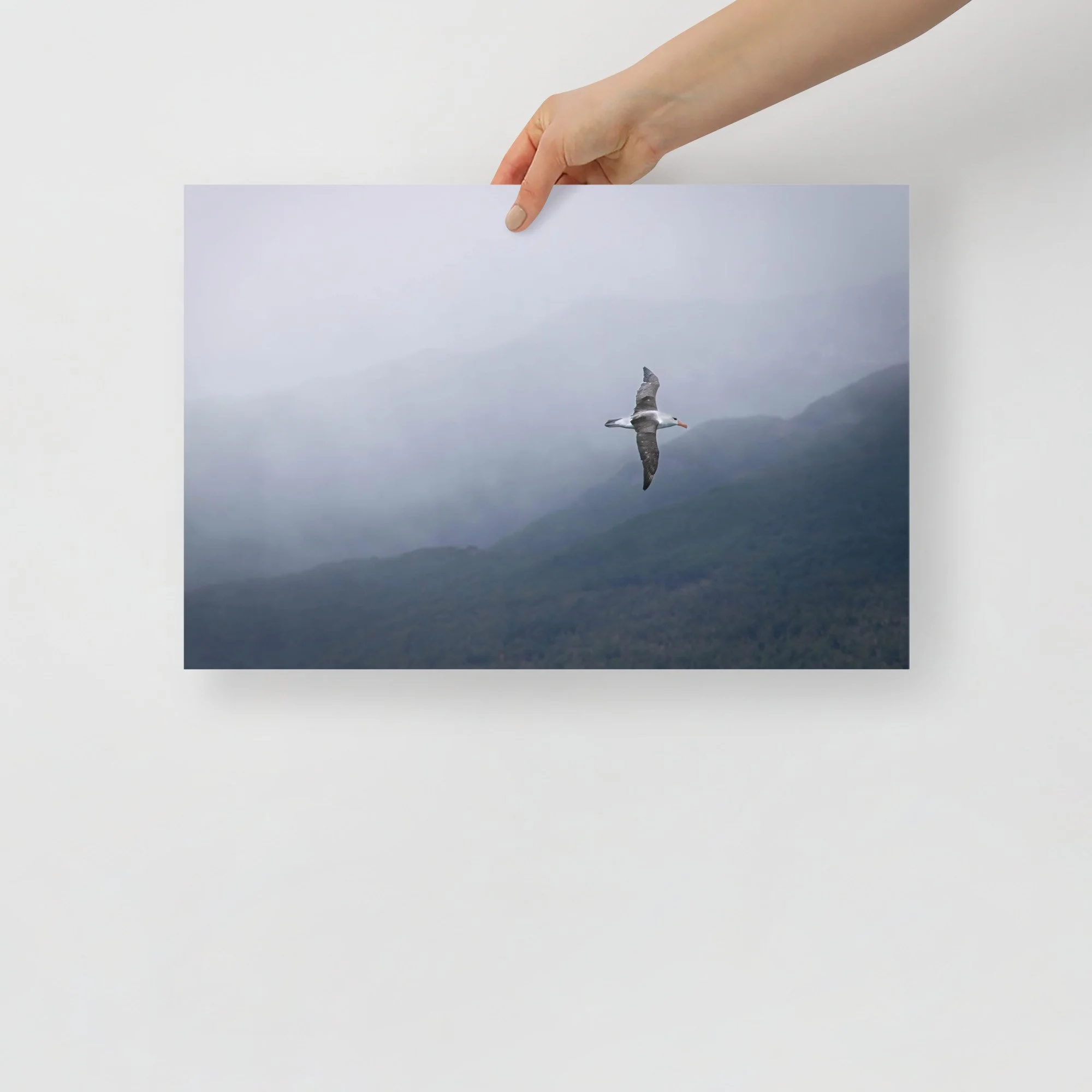 enhanced-matte-paper-poster-(in)-12x18-front-63c07b1d87231.jpg