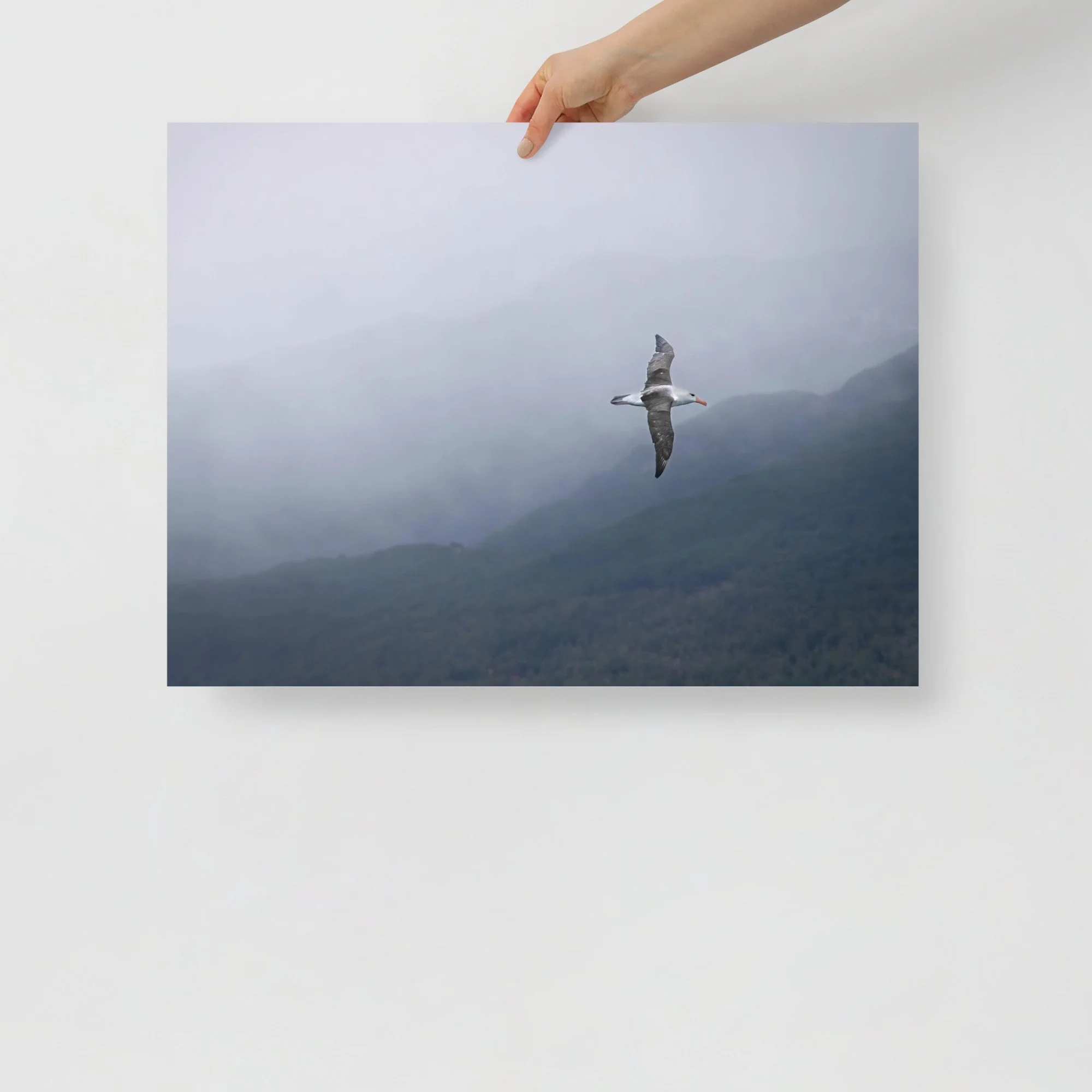 enhanced-matte-paper-poster-(in)-18x24-front-63c07b1d8735b.jpg