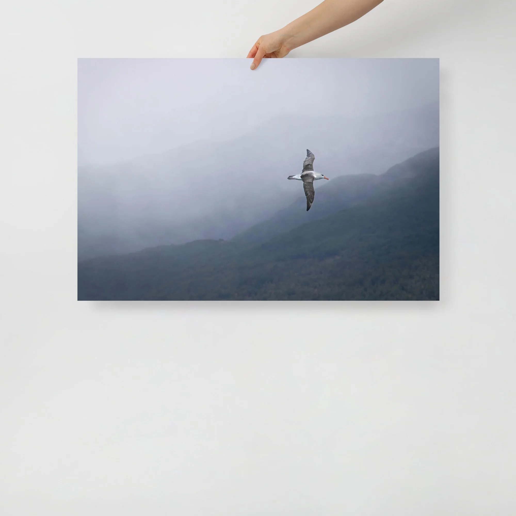enhanced-matte-paper-poster-(in)-24x36-front-63c07b1d8748a.jpg