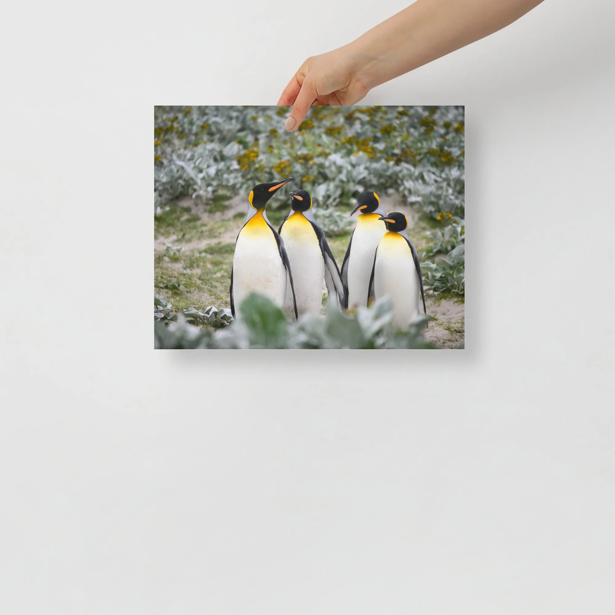 enhanced-matte-paper-poster-(in)-11x14-front-63c07d45ed8bc.jpg